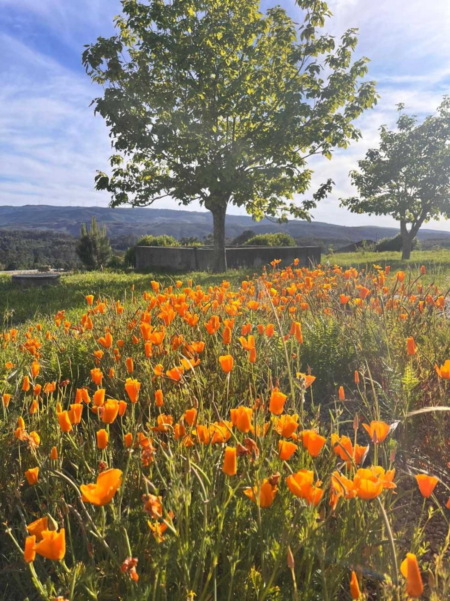 Gift card for Pensão Repouso do Peregrino