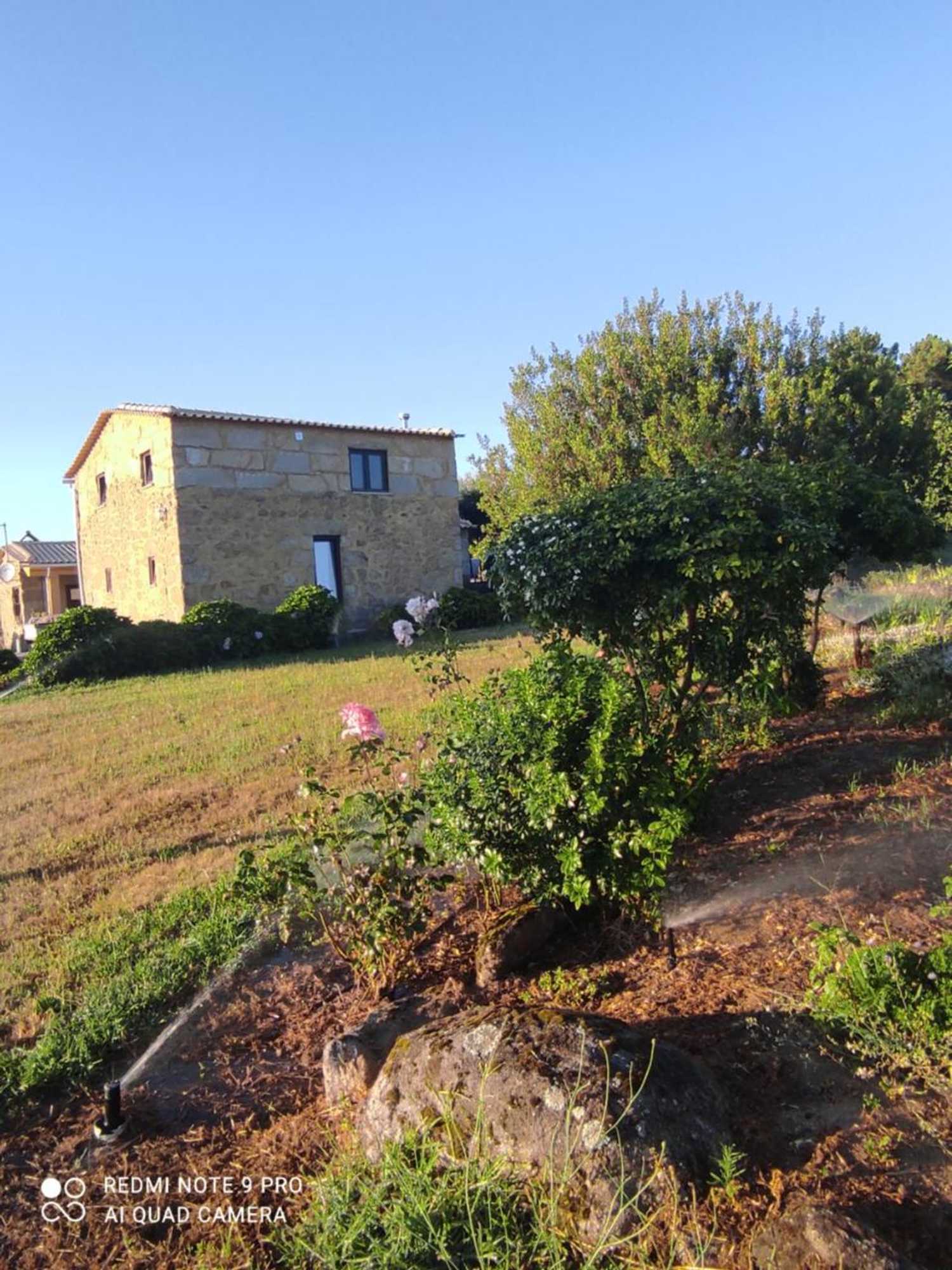 Gift card for Quinta Damigo