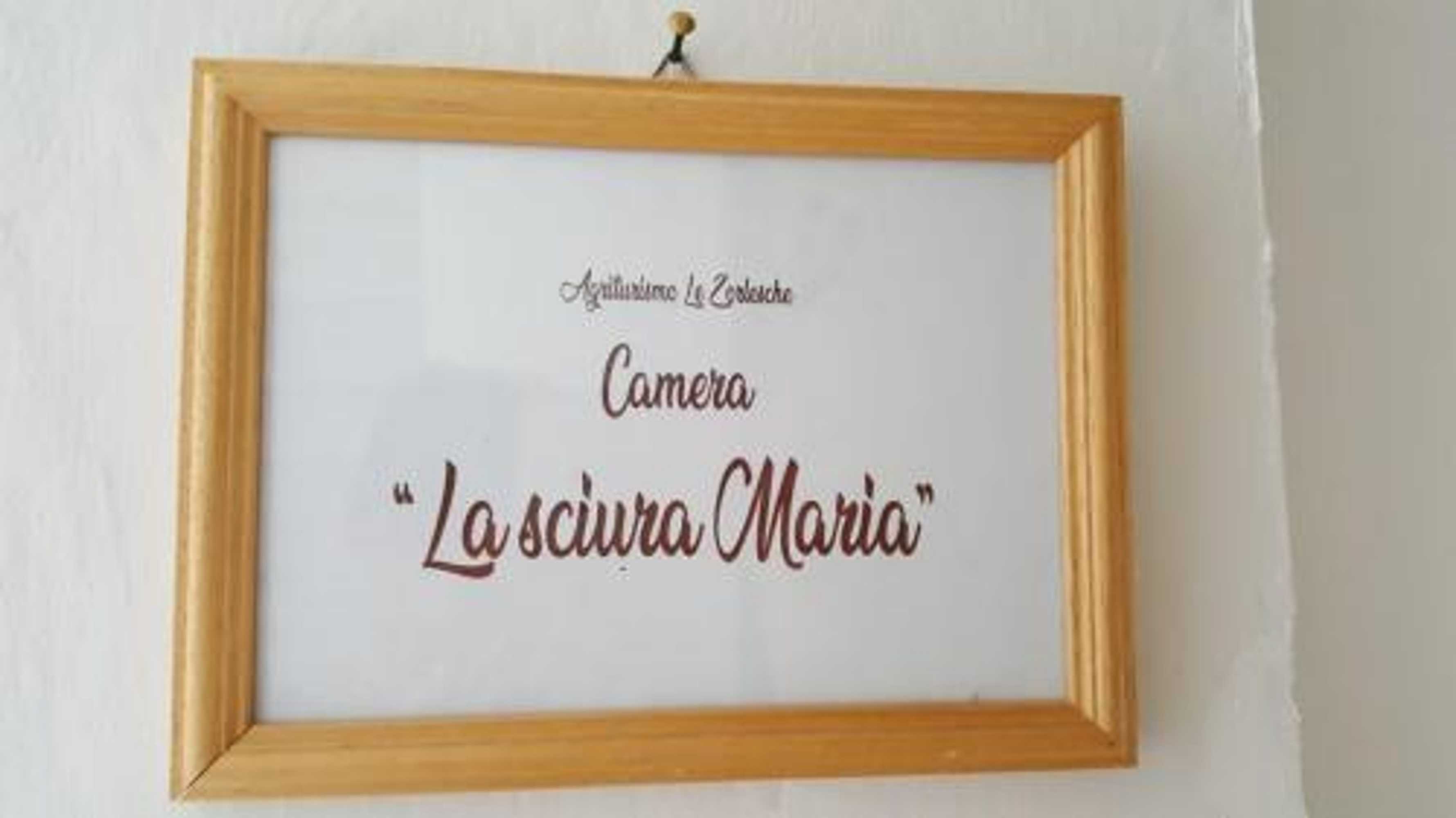 Gift card for Agriturismo LE Zorlesche Gift card for Agriturismo LE Zorlesche
