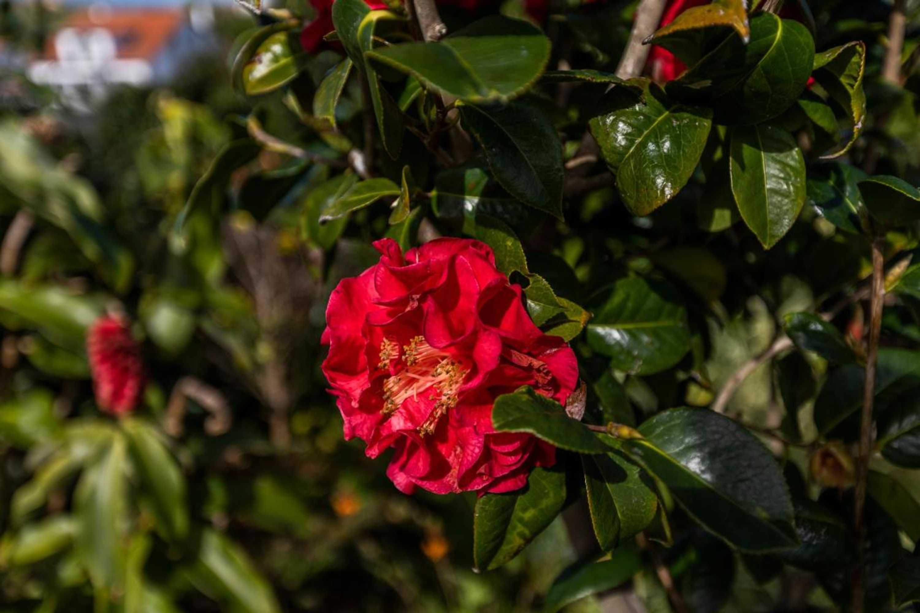 Gift card for Atlantico Apartments Gift card for Atlantico Apartments