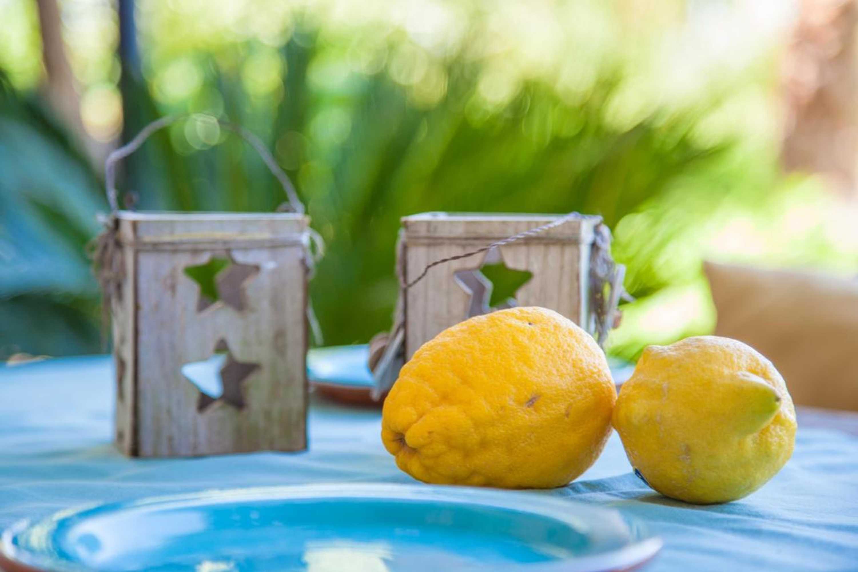 Gift card for Can Pina - Eco Arco -