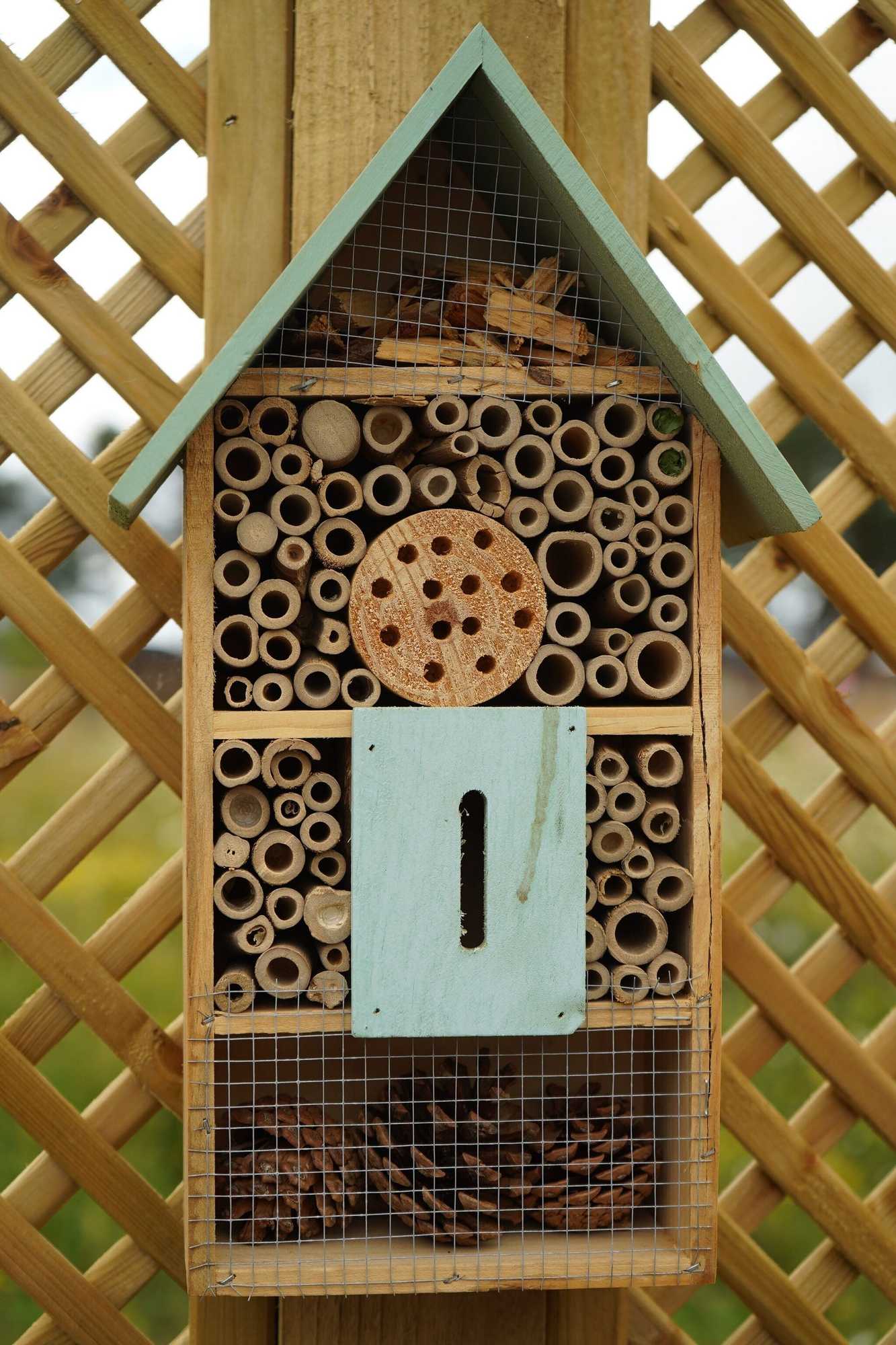 Gift card for Hollicarrs - Hares Leap