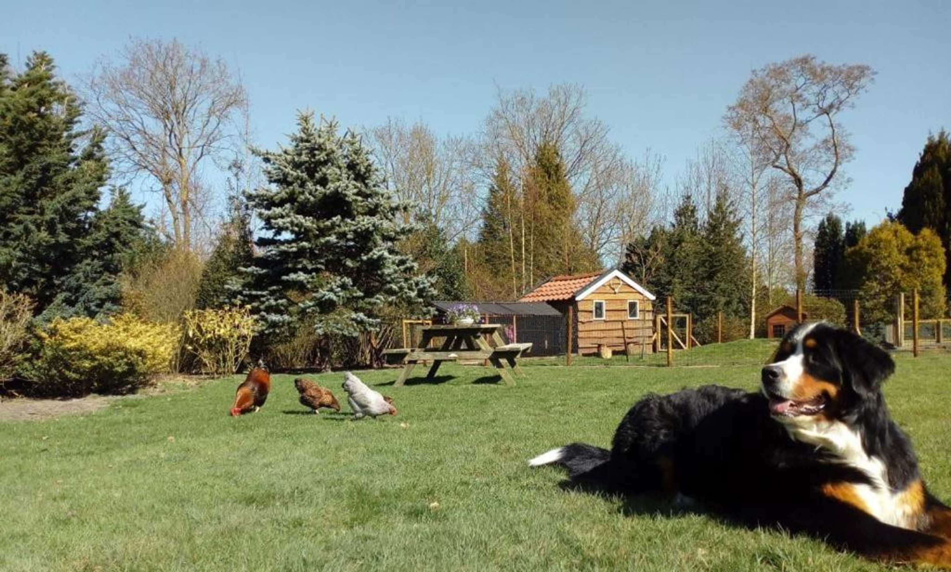 Gift card for B&b De Flecht - De Ljip