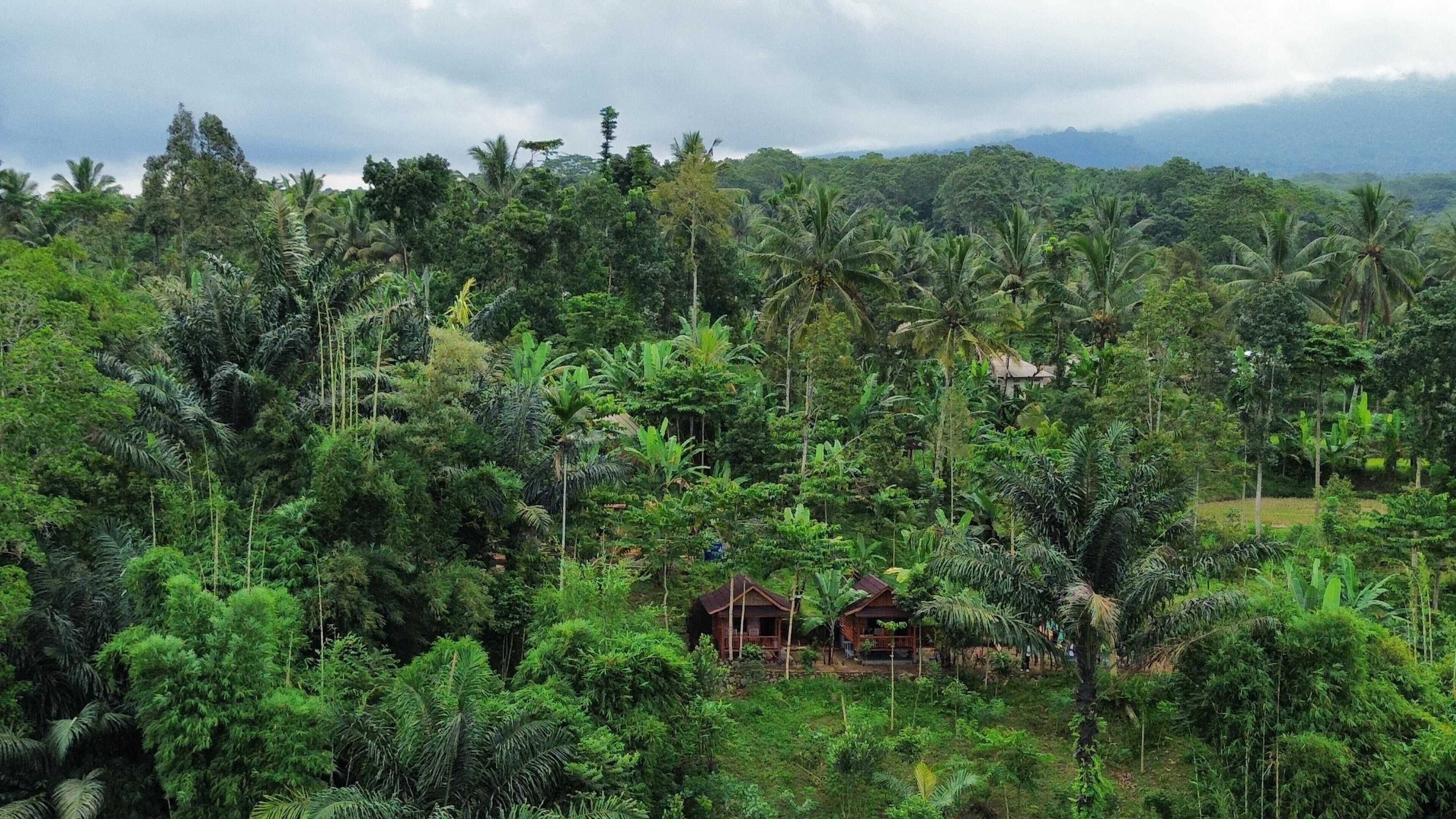 Gift card for Serenity Lodge Tetebatu Lombok