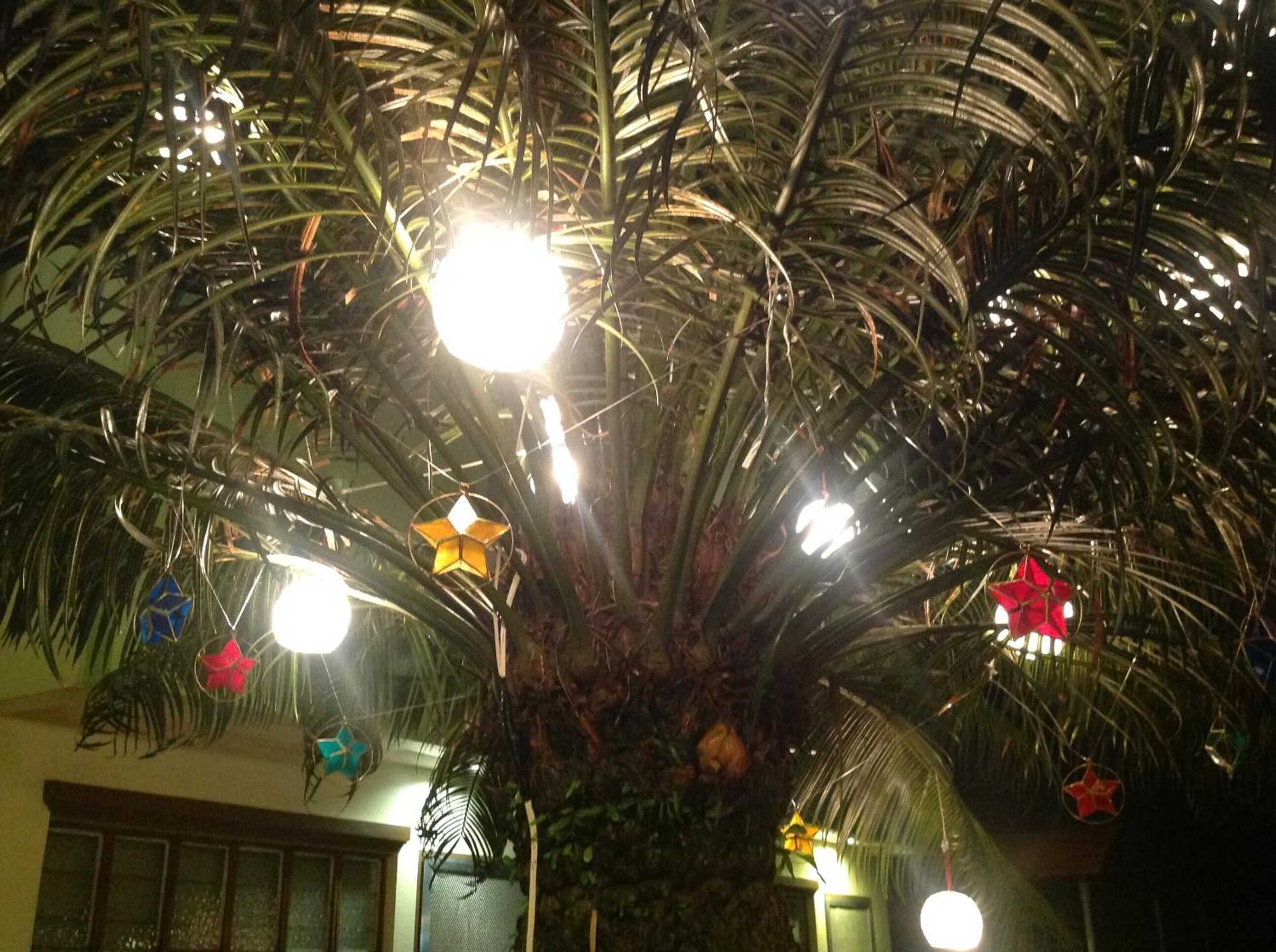 Gift card for Danel Pensionne House