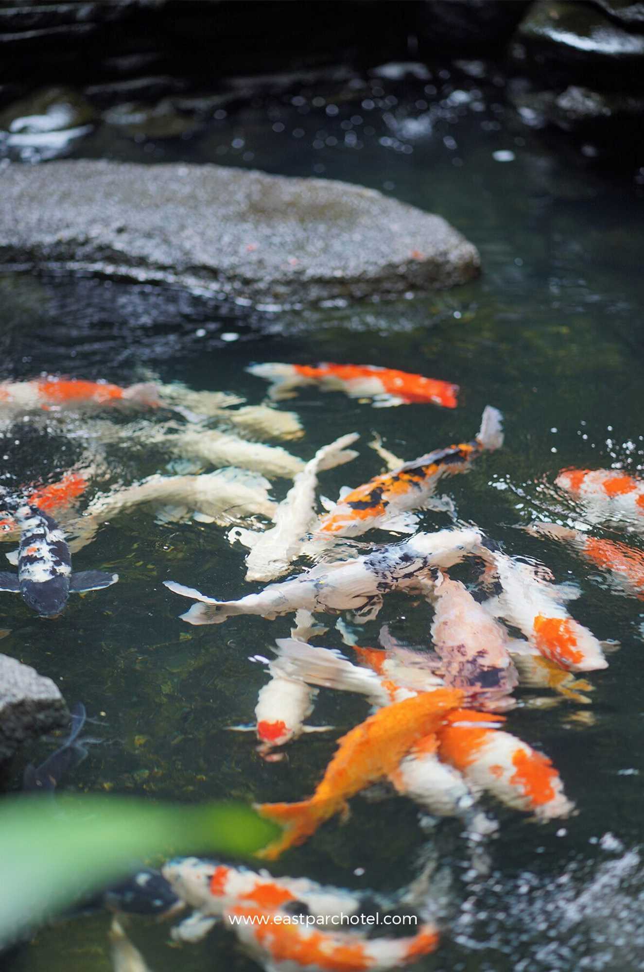 Gift card for Eastparc Hotel