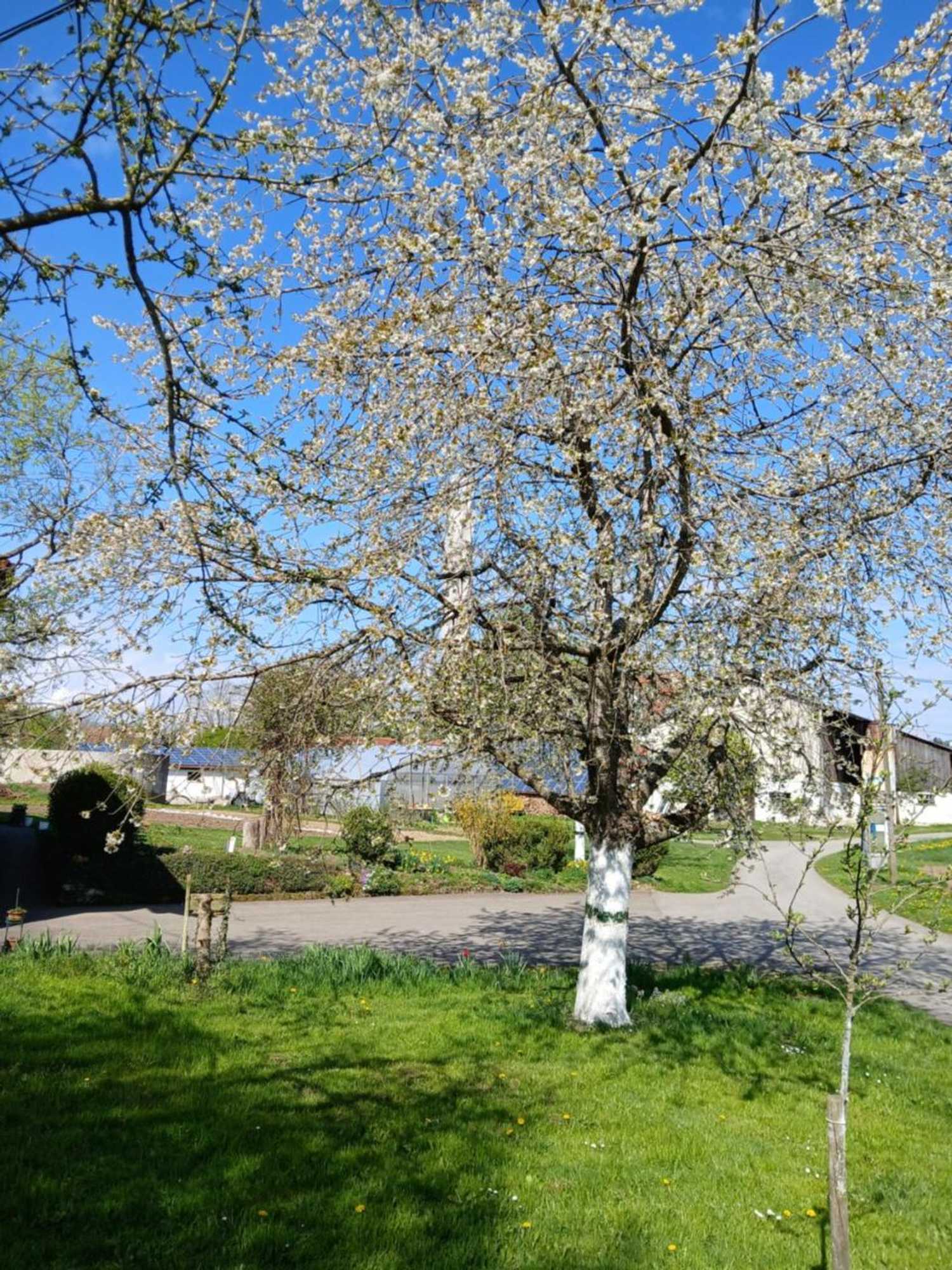 Gift card for Landgasthof Zum Seehof