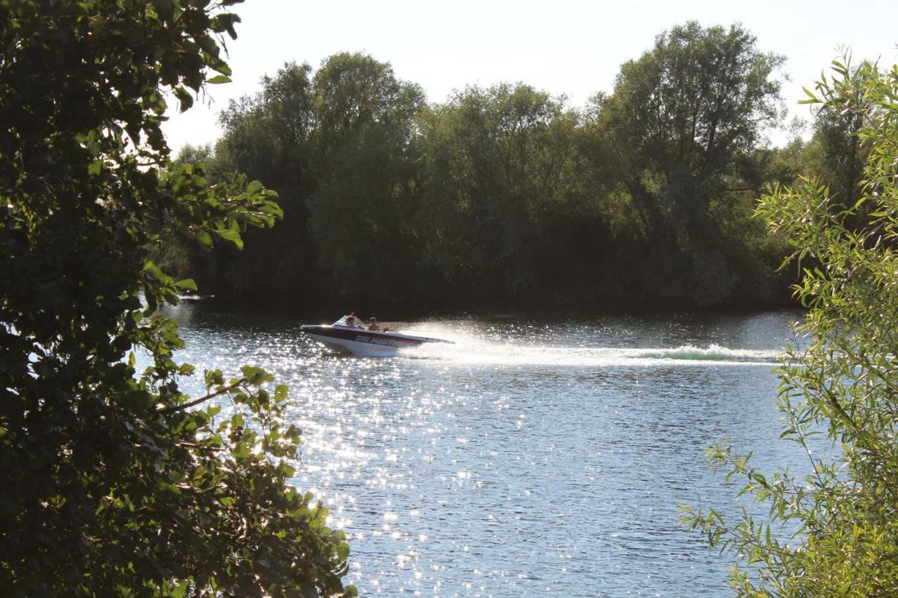 Gift card for The Lion Hotel