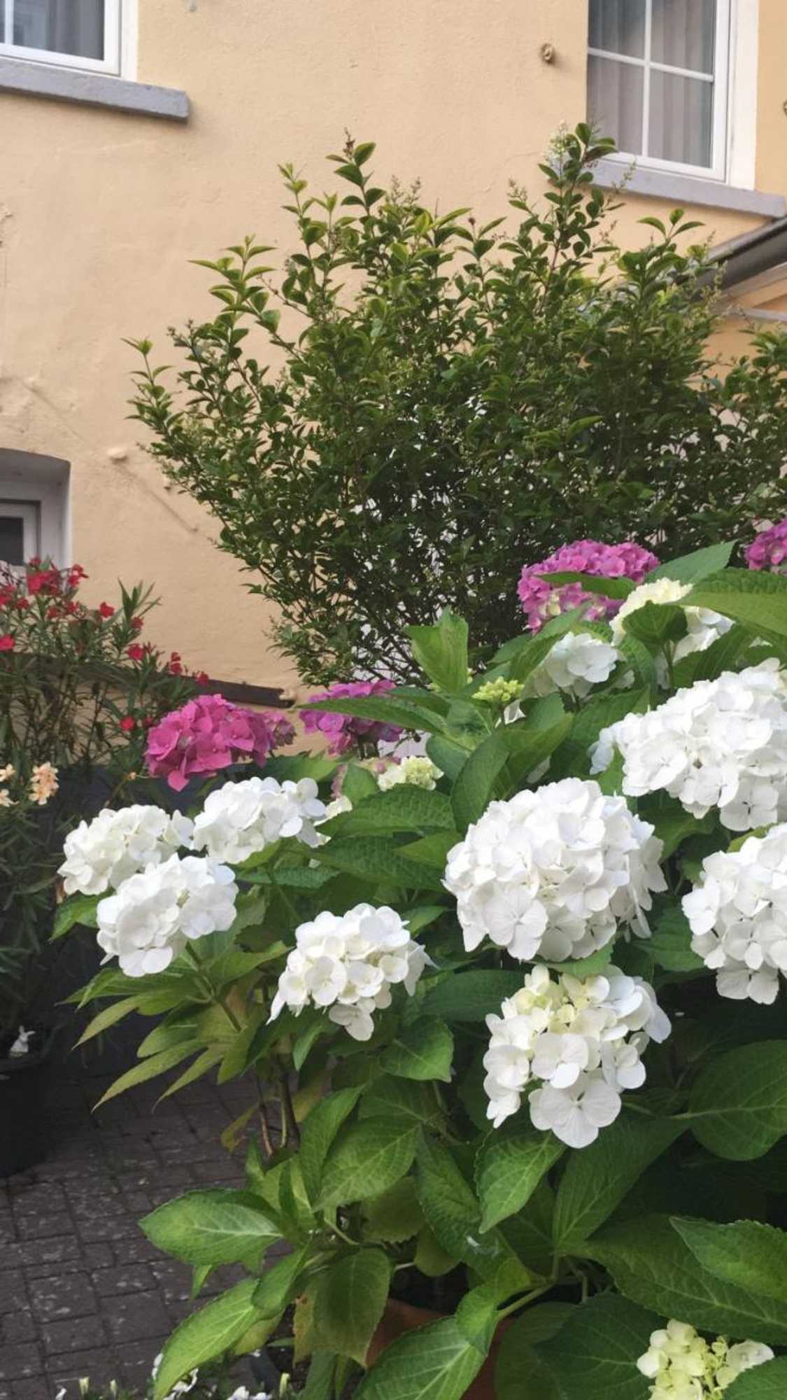 Gift card for Hotel Gästehaus Priester