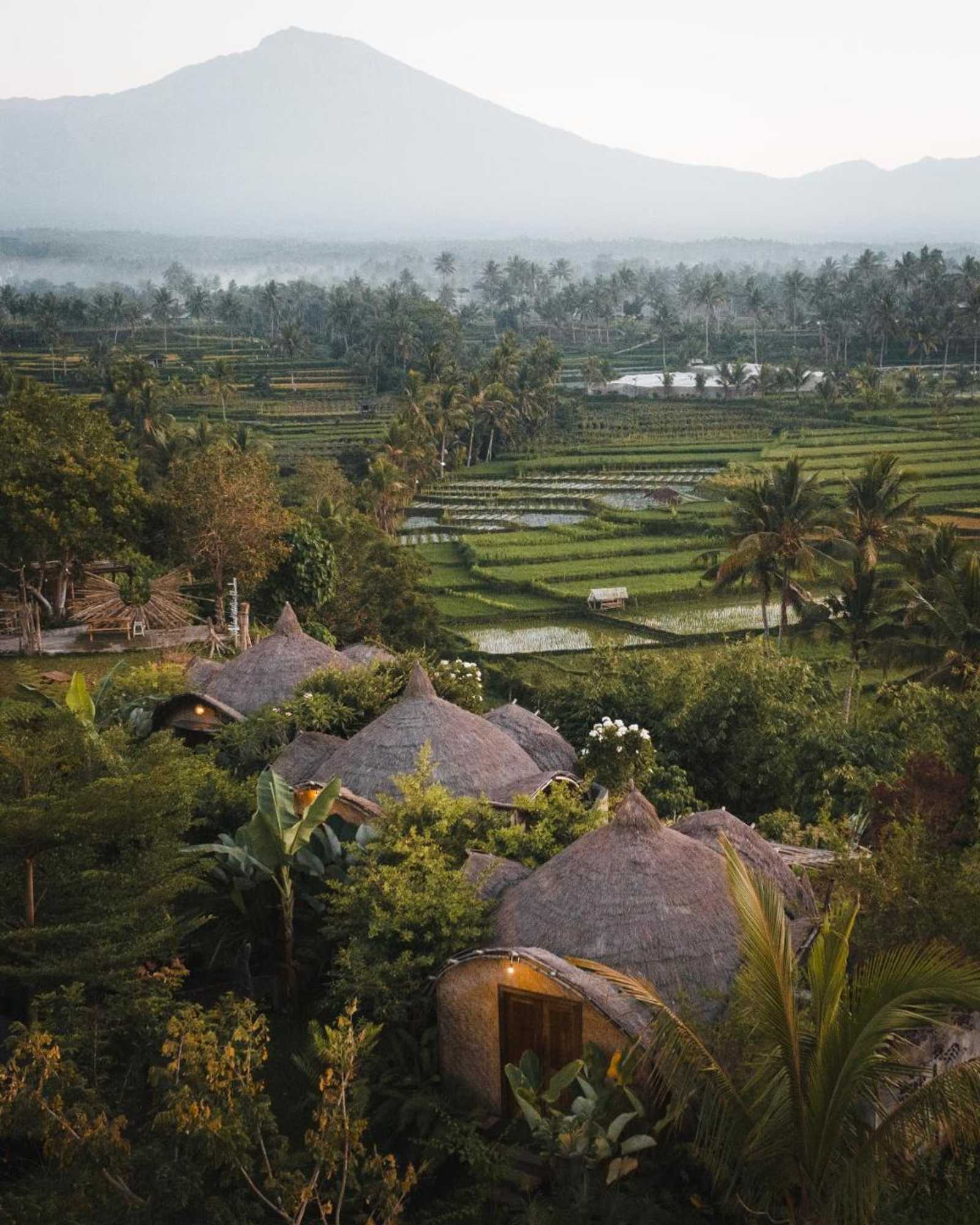 Gift card for Aranka Tempasan