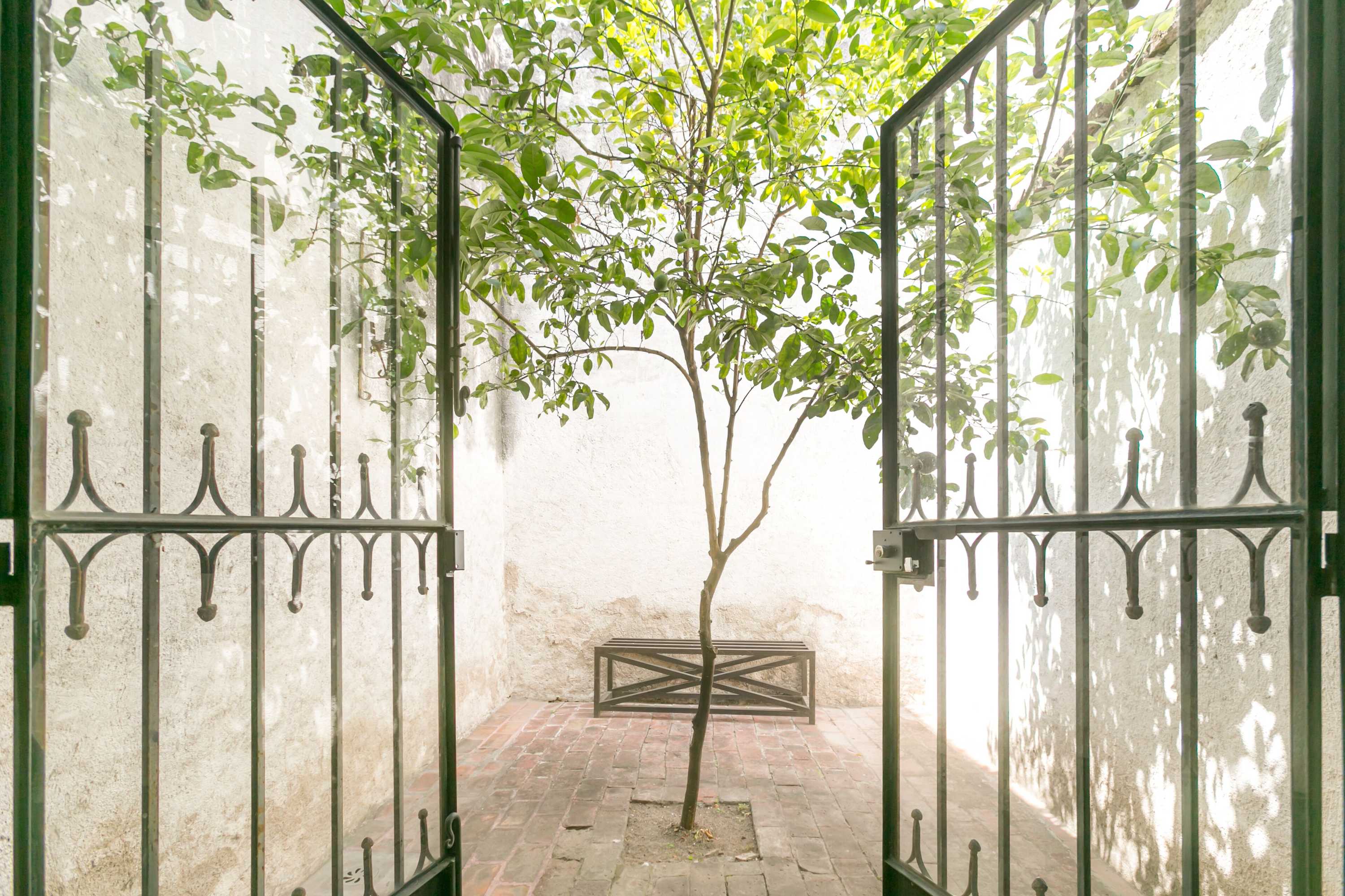 Gift card for Orchid House San Miguel de Allende Gift card for Orchid House San Miguel de Allende
