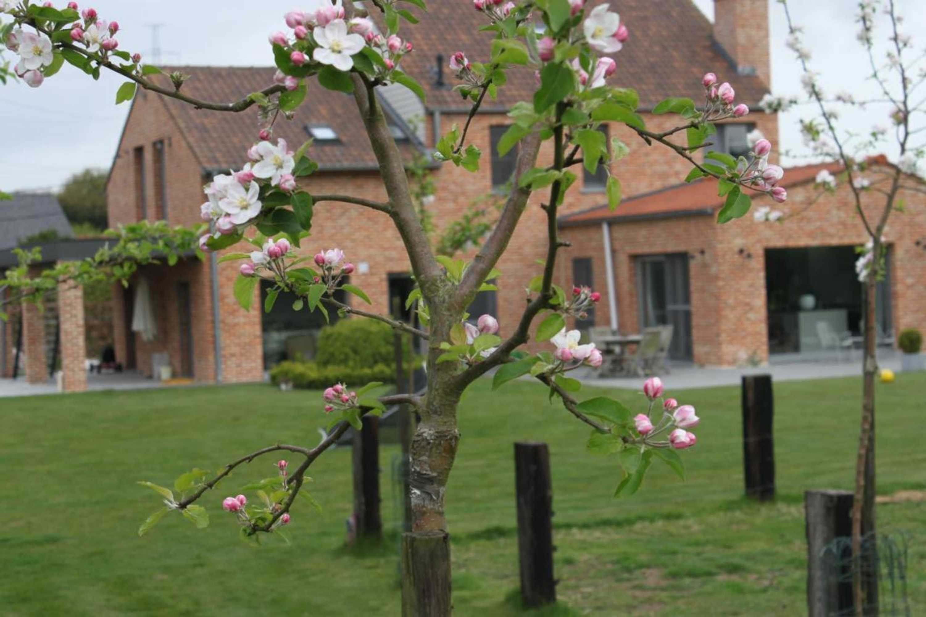 Gift card for B&b 't Hoogste