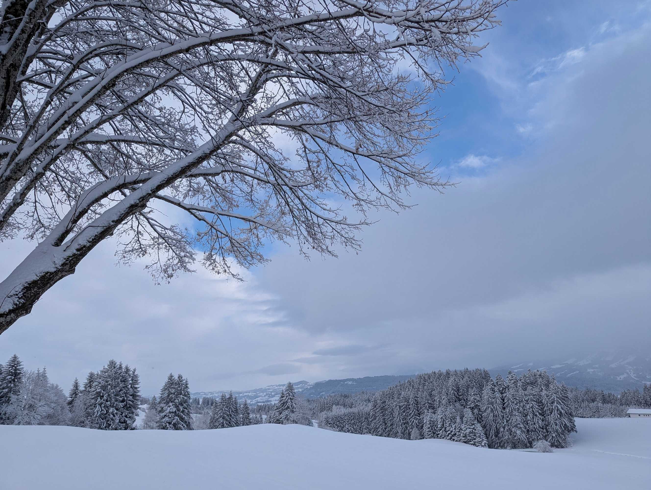 Gift card for Hotel Bergsttter Hof