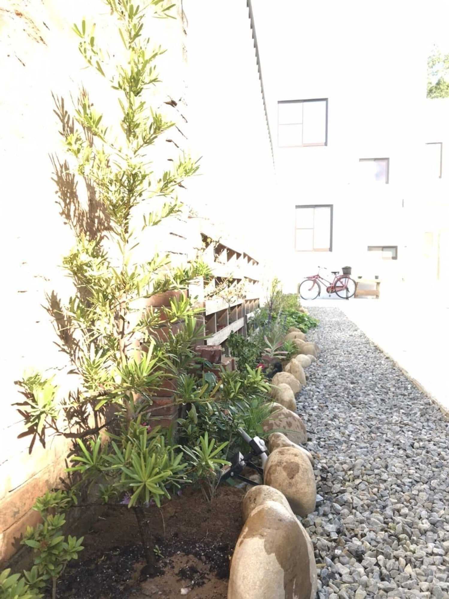 Gift card for Tree House Café & Homestay