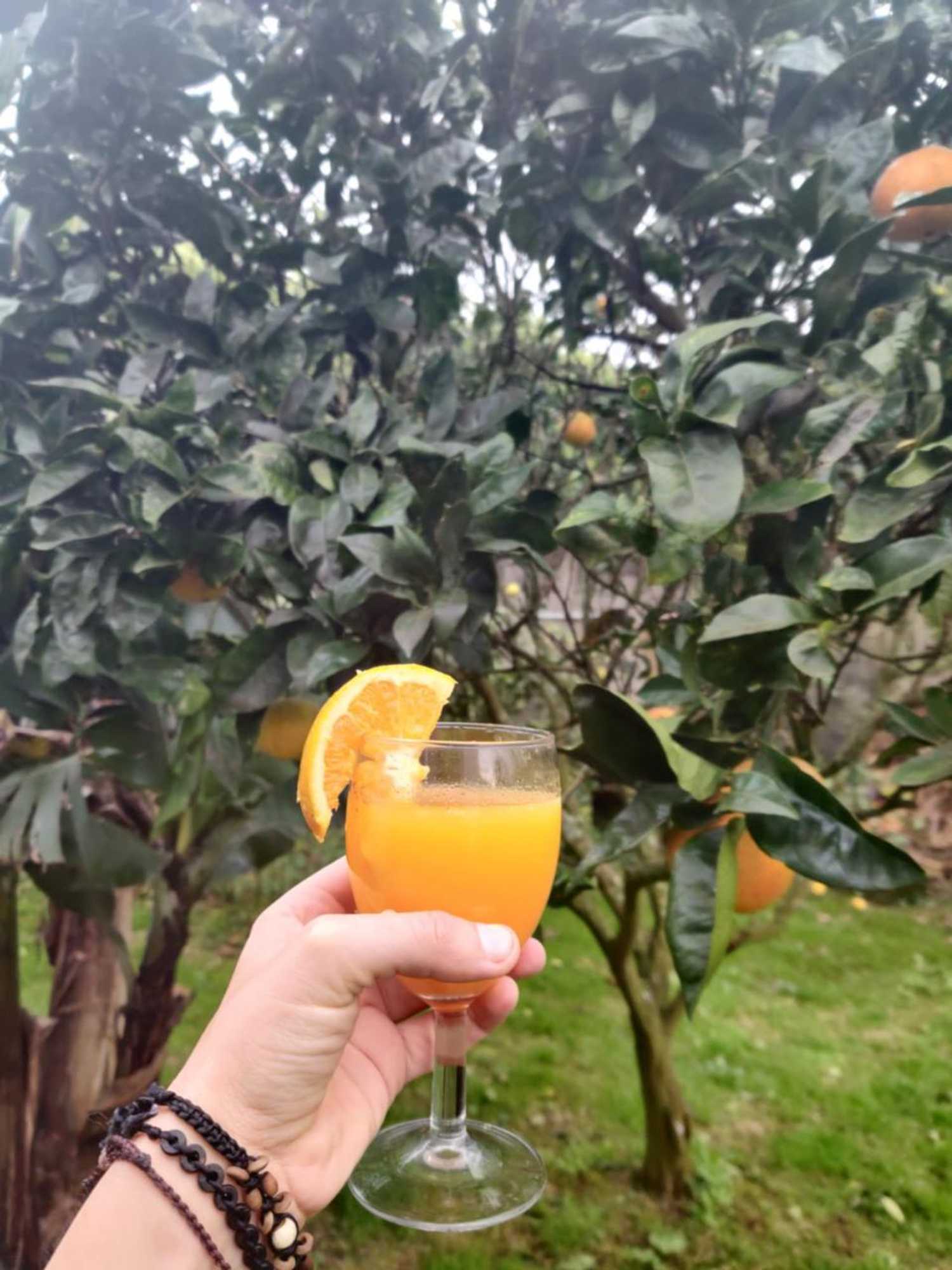 Gift card for Novovento