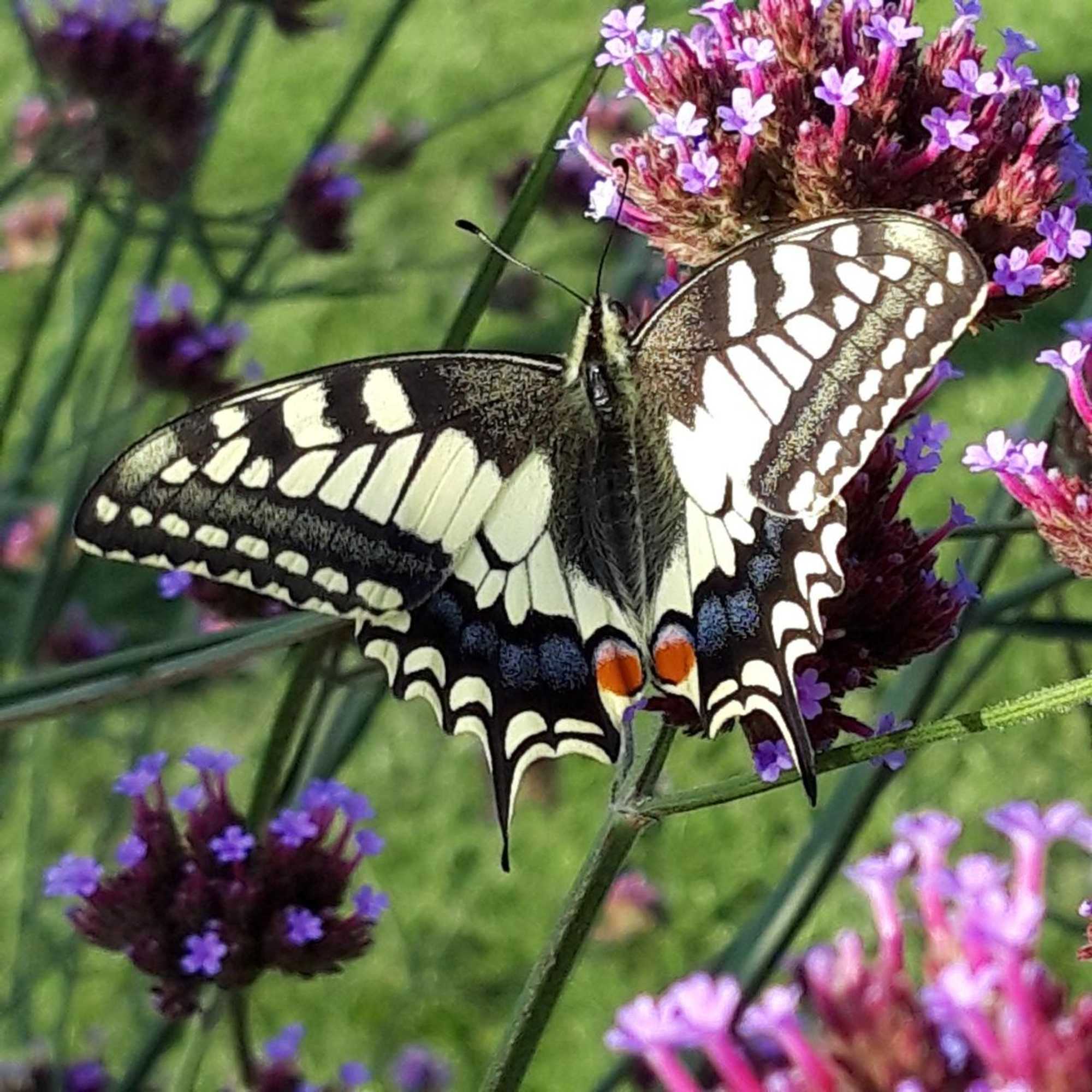 Gift card for Bed en Breakfast Donkersvoort