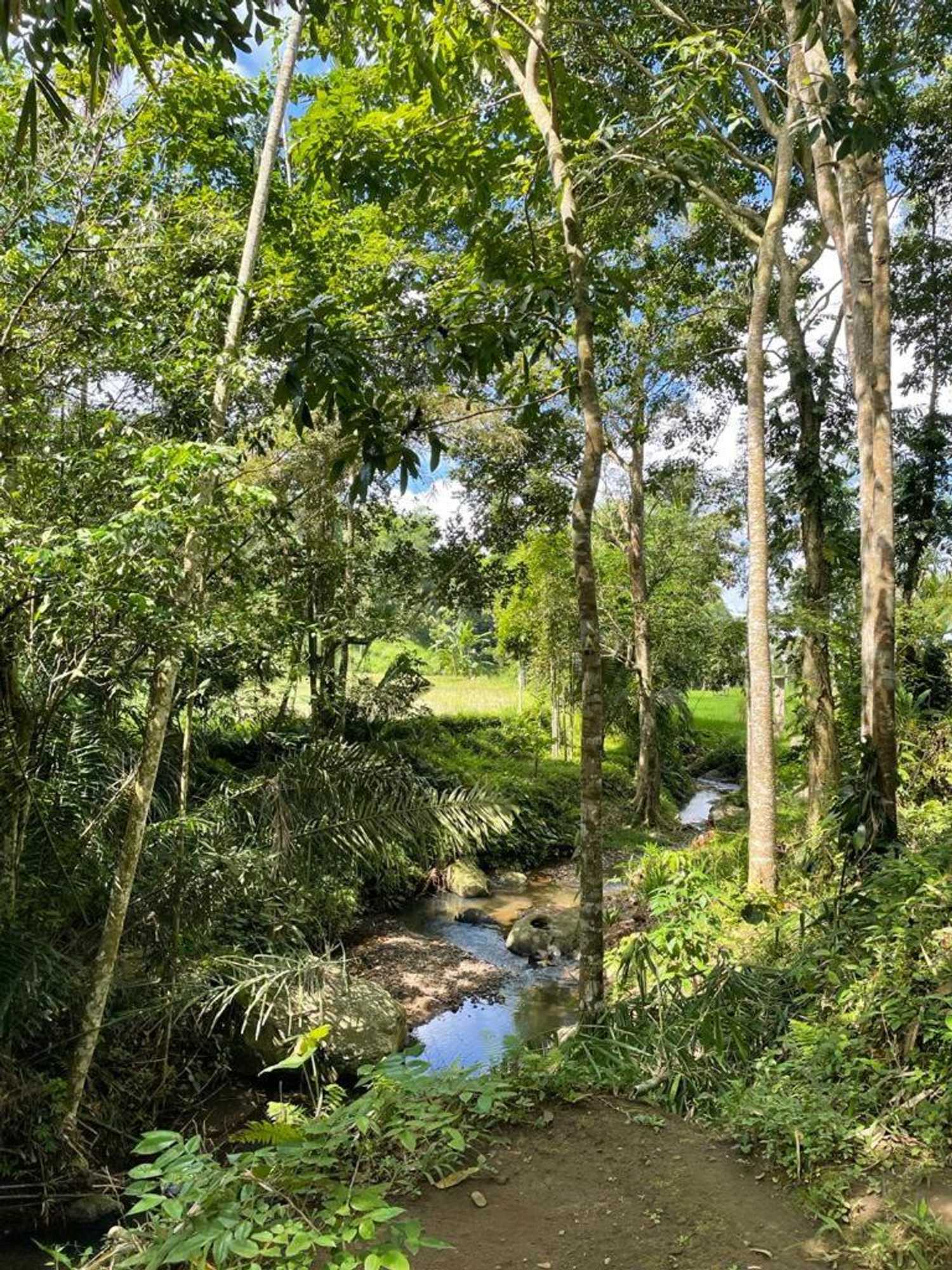 Gift card for Satu Lingkung Bungalows Homestay