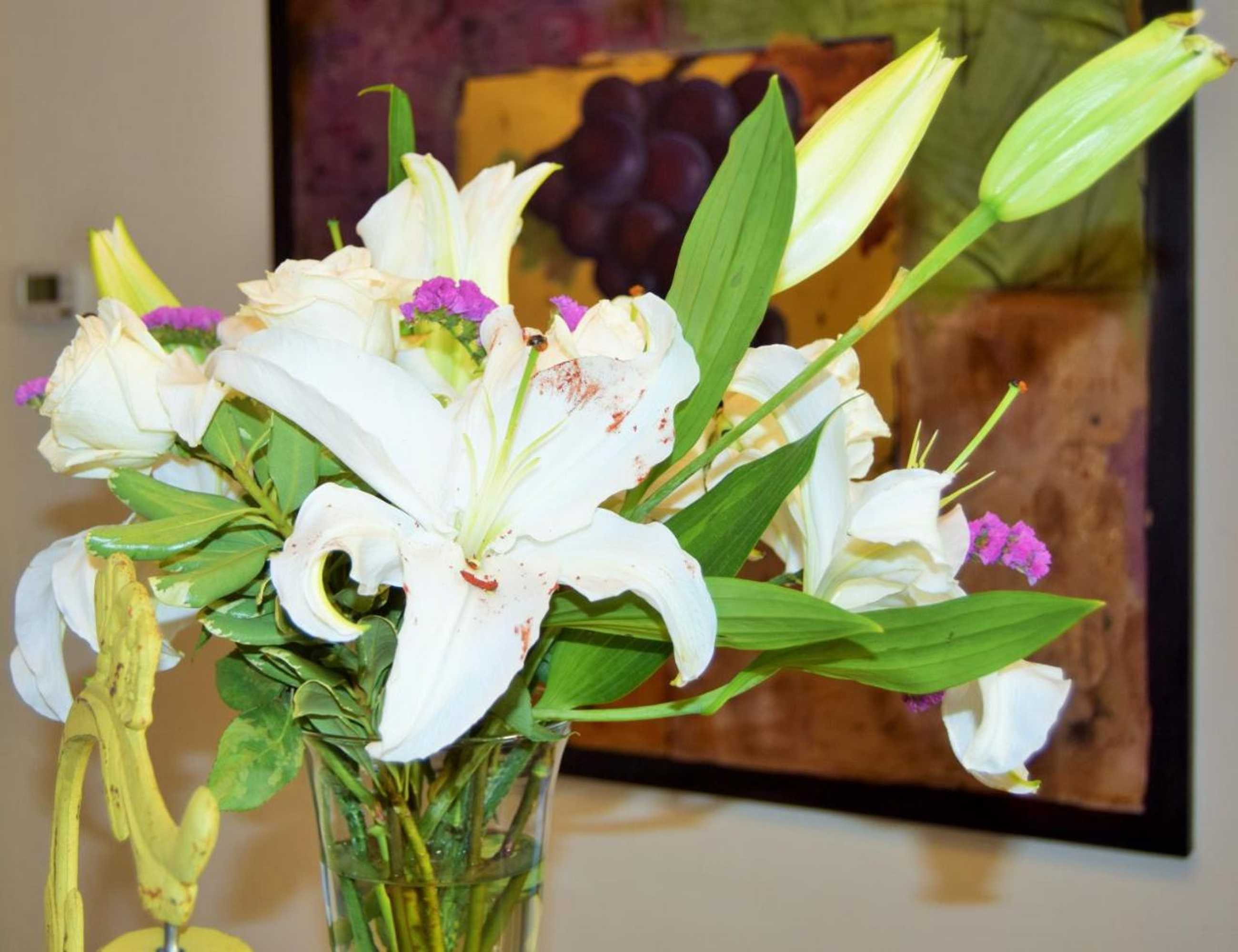 Gift card for Vineyard Country Inn