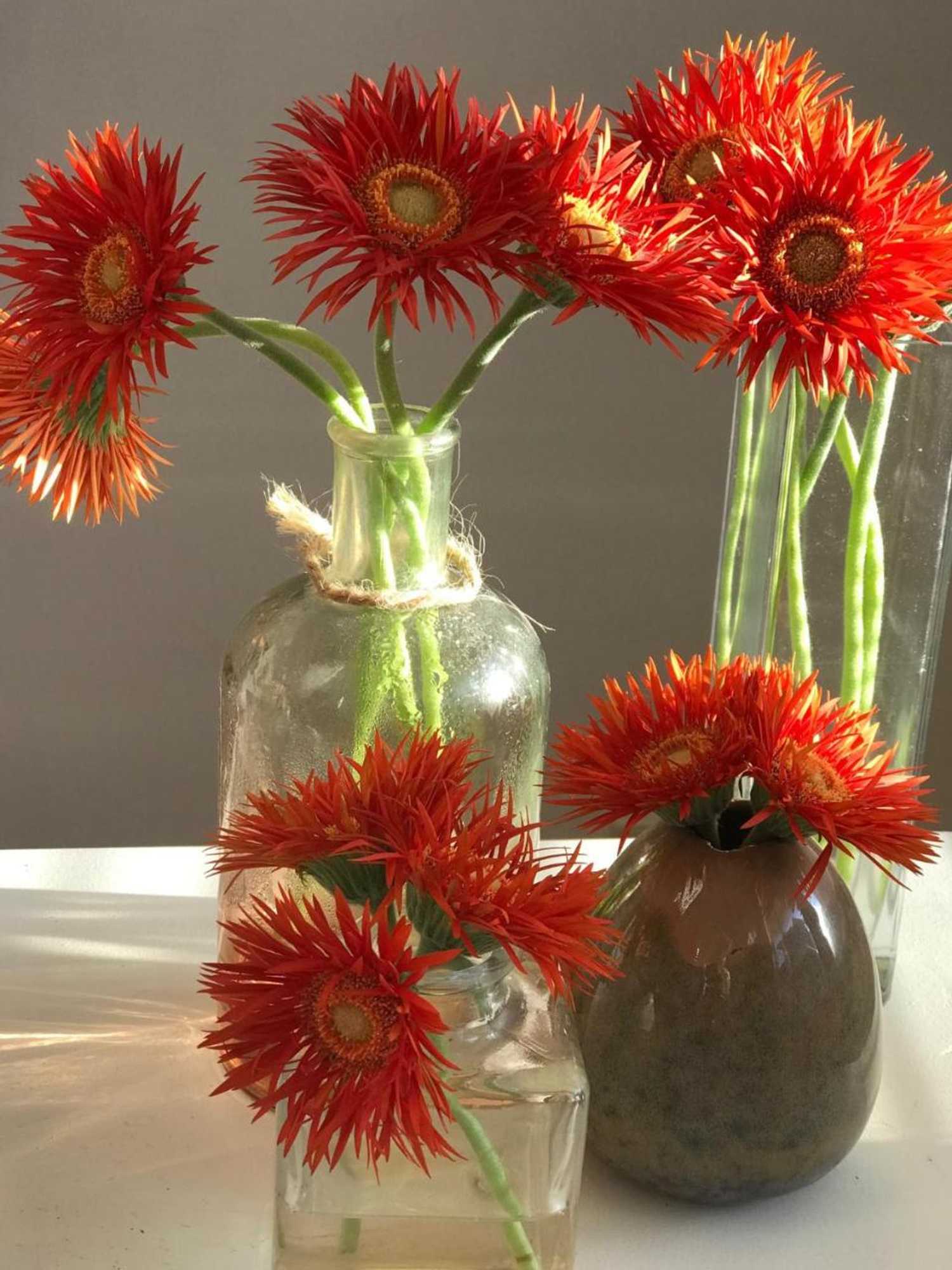 Gift card for De Pelgrimsplaats