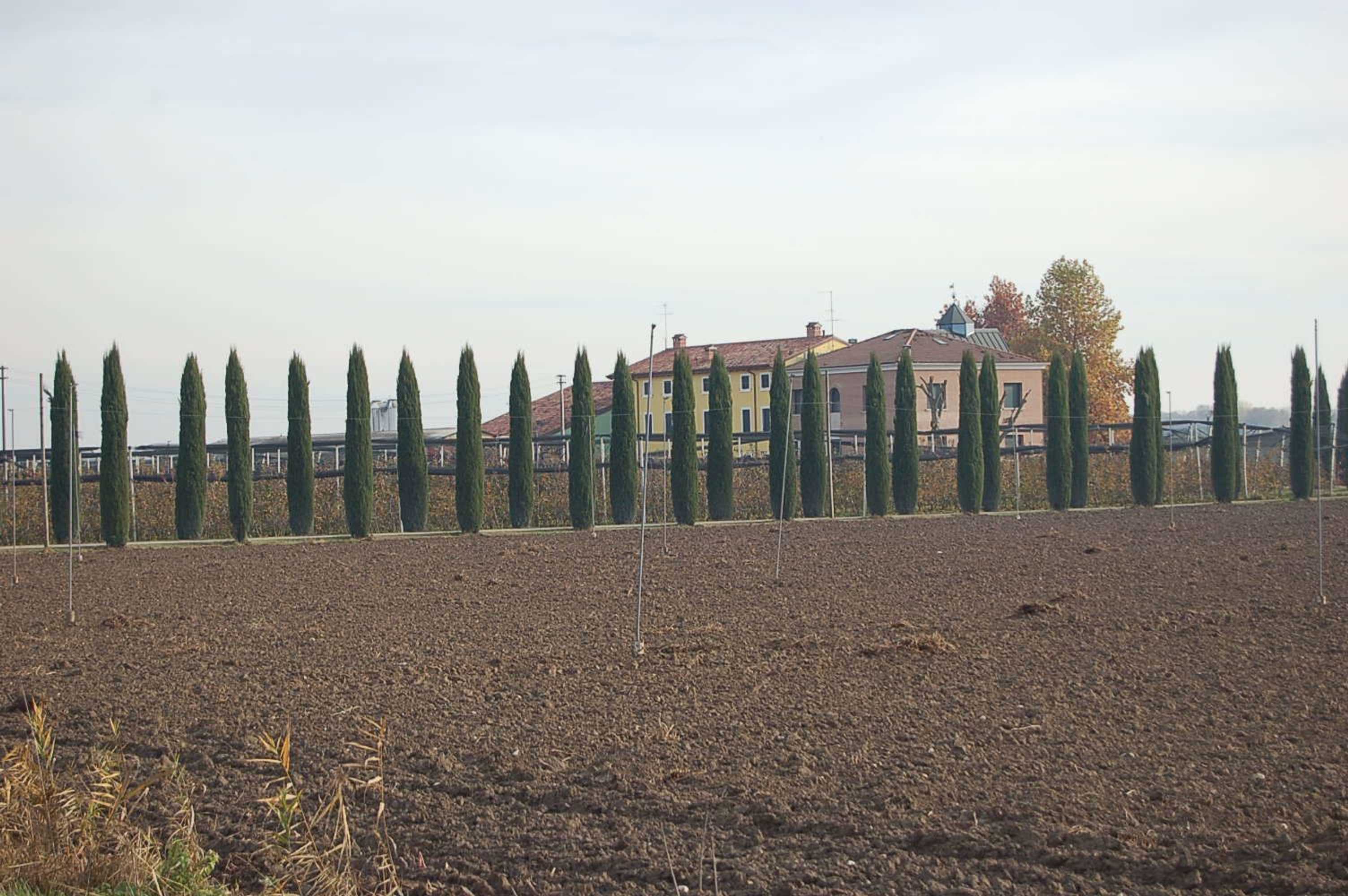 Gift card for Agriturismo BB Mambrotta Gift card for Agriturismo BB Mambrotta