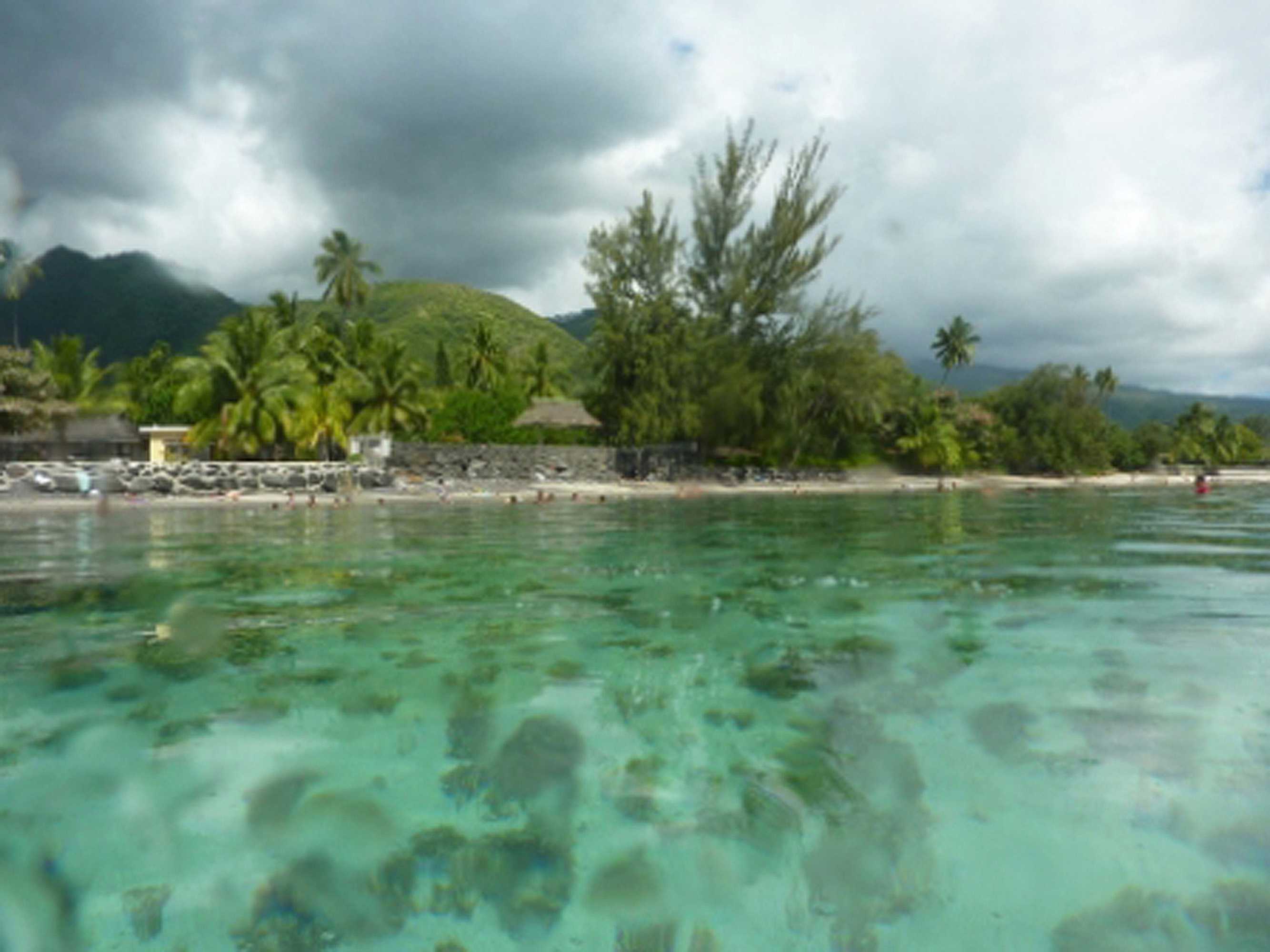 Gift card for Pension TE Miti - Plage-Beach 200m - Mahana Parc & Vaiava Beach Pk18 - B&b Chambres ou Dortoir Gift card for Pension TE Miti - Plage-Beach 200m - Mahana Parc & Vaiava Beach Pk18 - B&b Chambres ou Dortoir