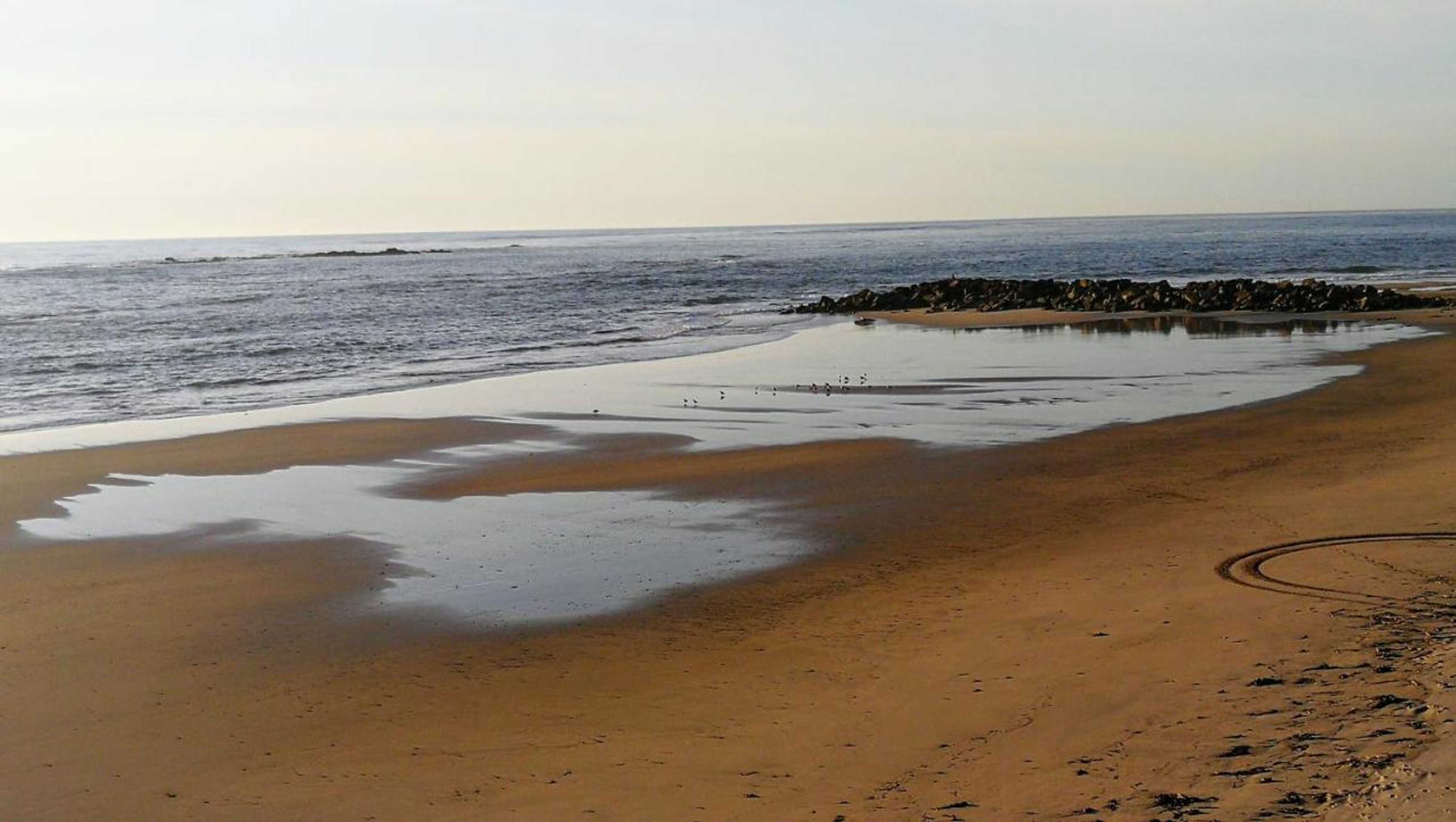 Gift card for Casa Colmeia