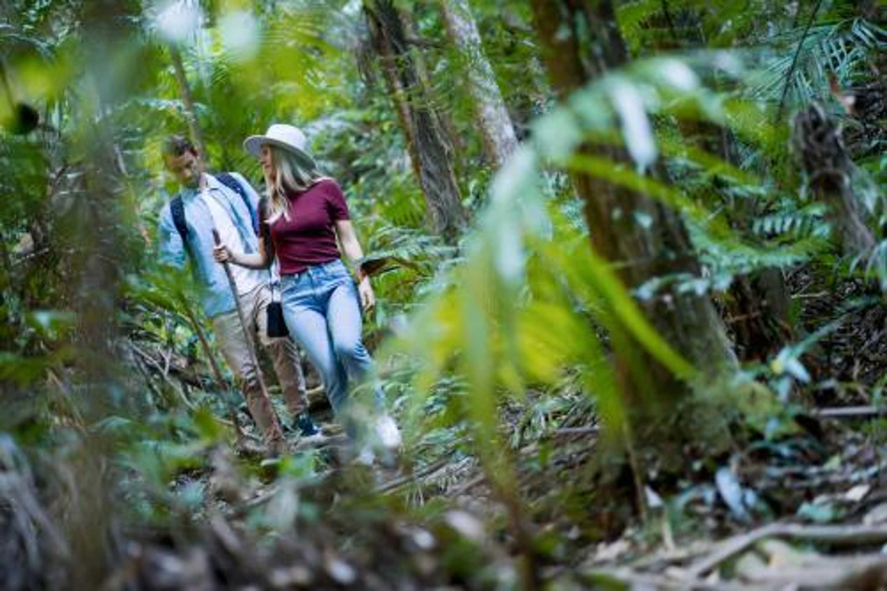 Gift card for Crystal Creek Rainforest Retreat Gift card for Crystal Creek Rainforest Retreat