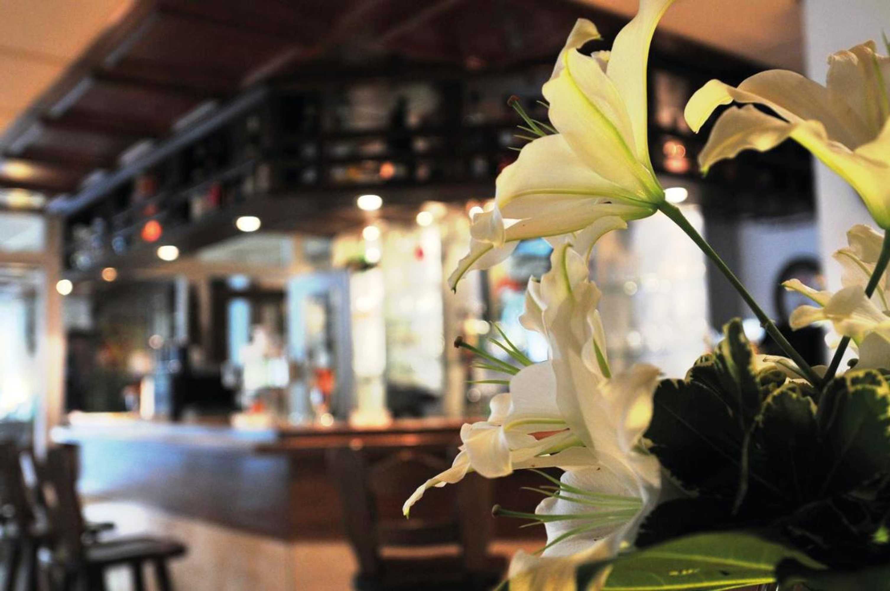 Gift card for Akzent Hotel Koerner Hof