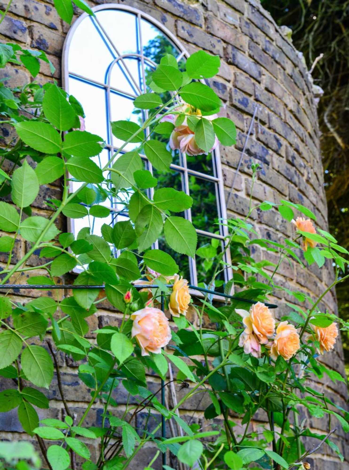 Gift card for Springwells