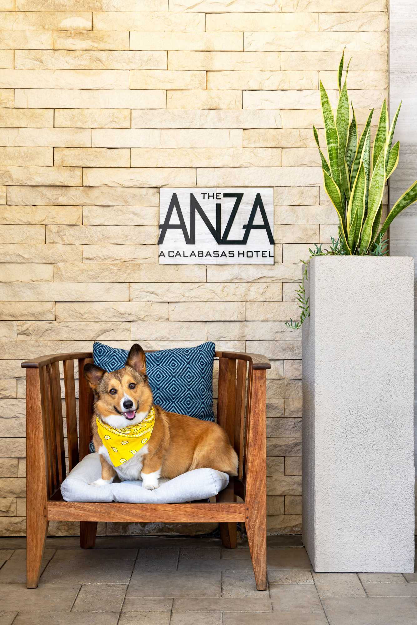 Gift card for The Anza-A Calabasas Hotel Gift card for The Anza-A Calabasas Hotel