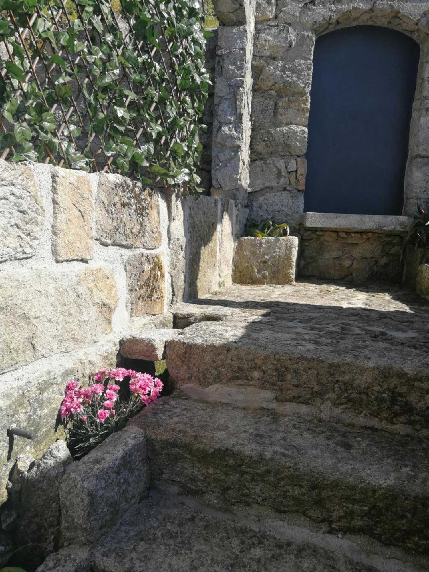 Gift card for Casa Colmeia