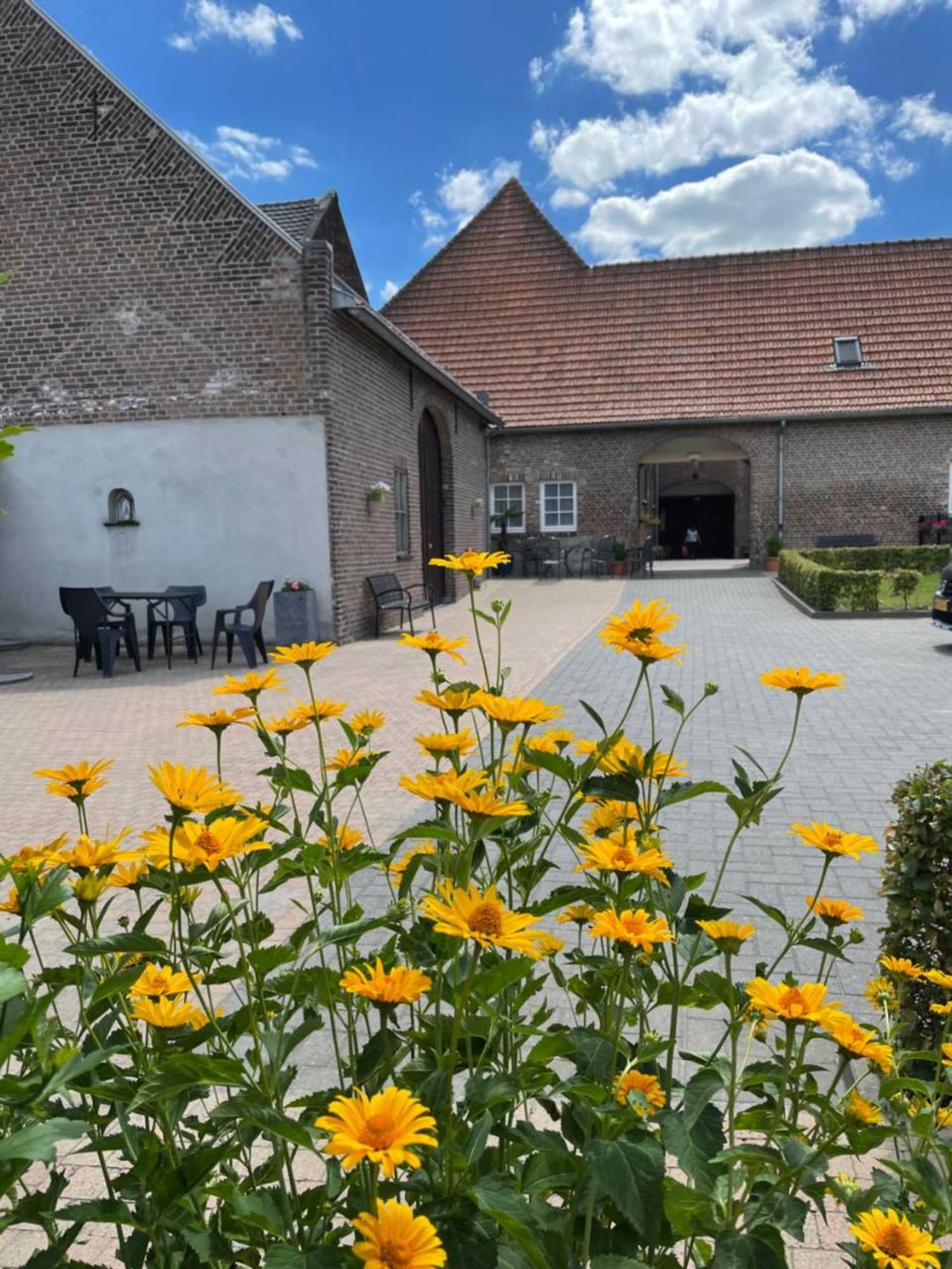 Gift card for B&b Maria Hart