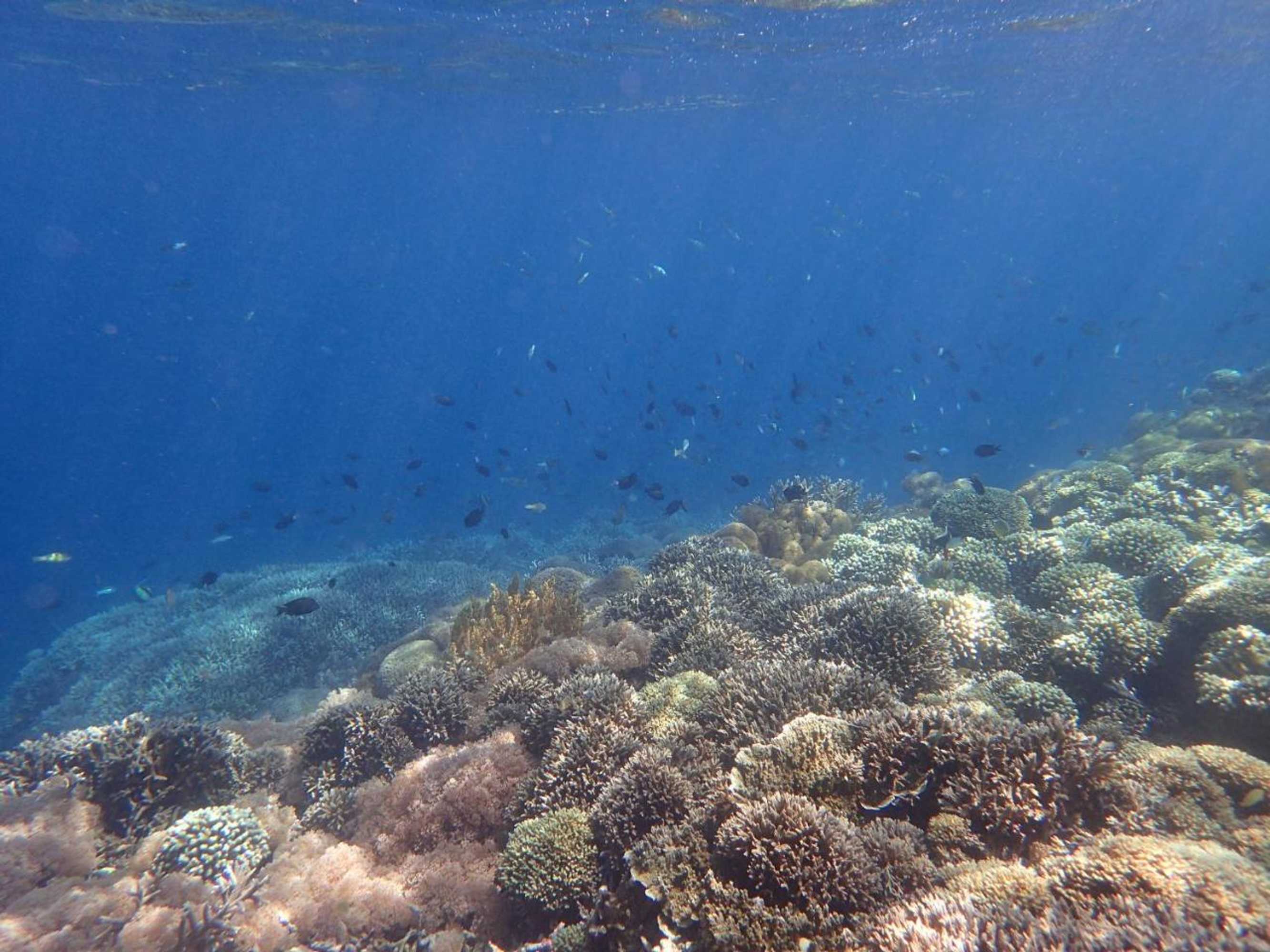 Gift card for Bidara Cottage