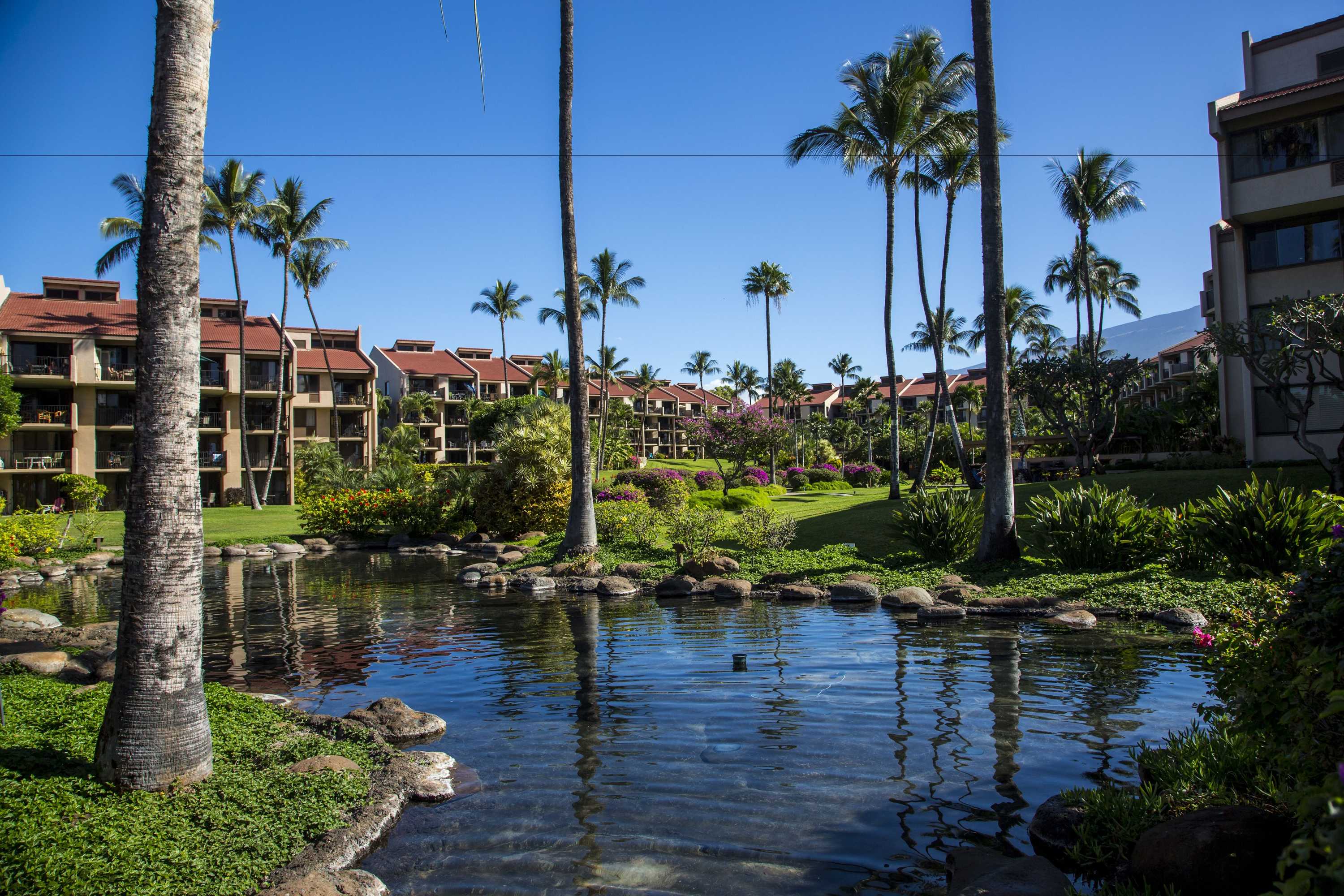 Gift card for Castle Kama'ole Sands Gift card for Castle Kama'ole Sands