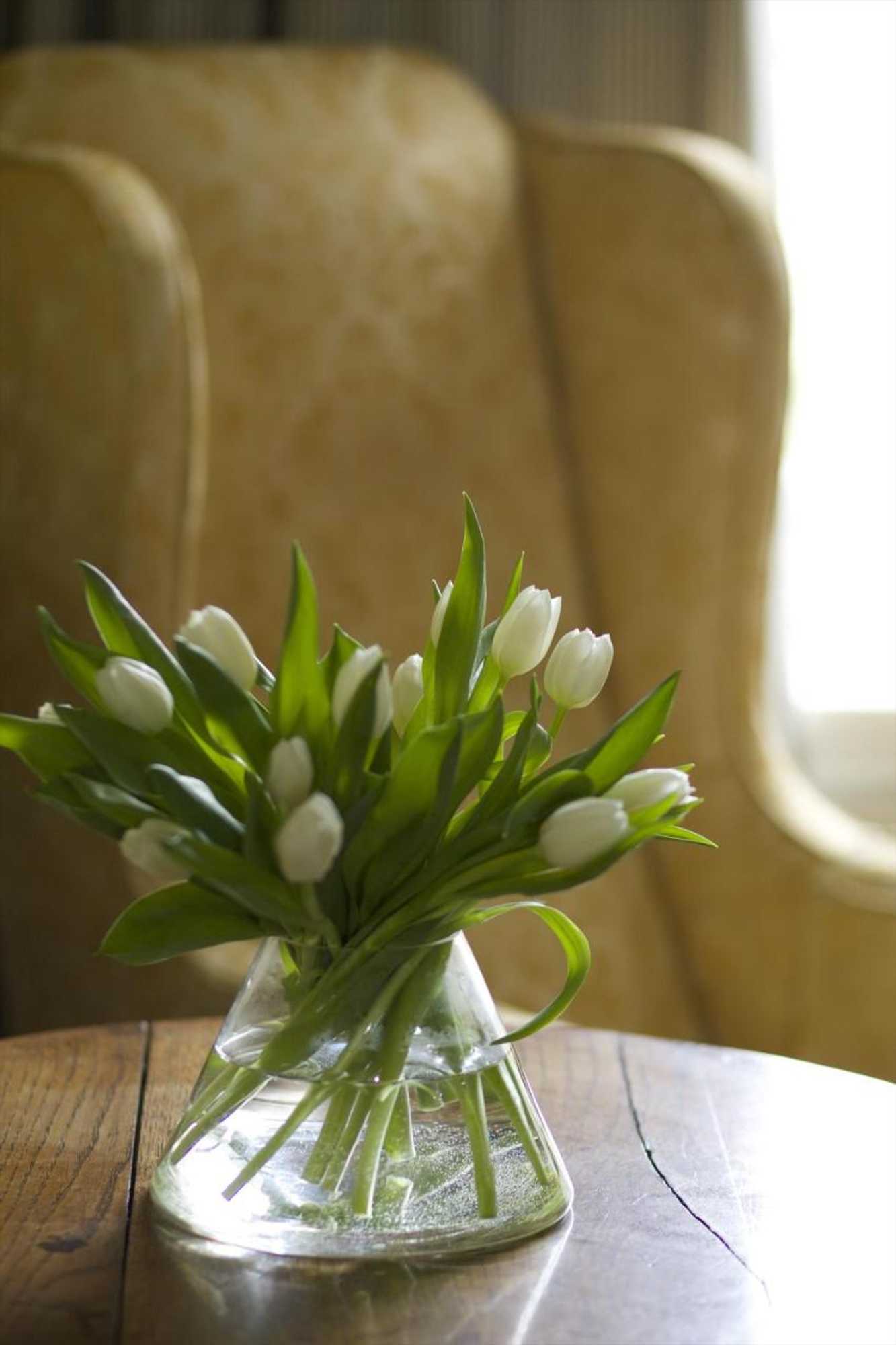 Gift card for The Manor at Sway