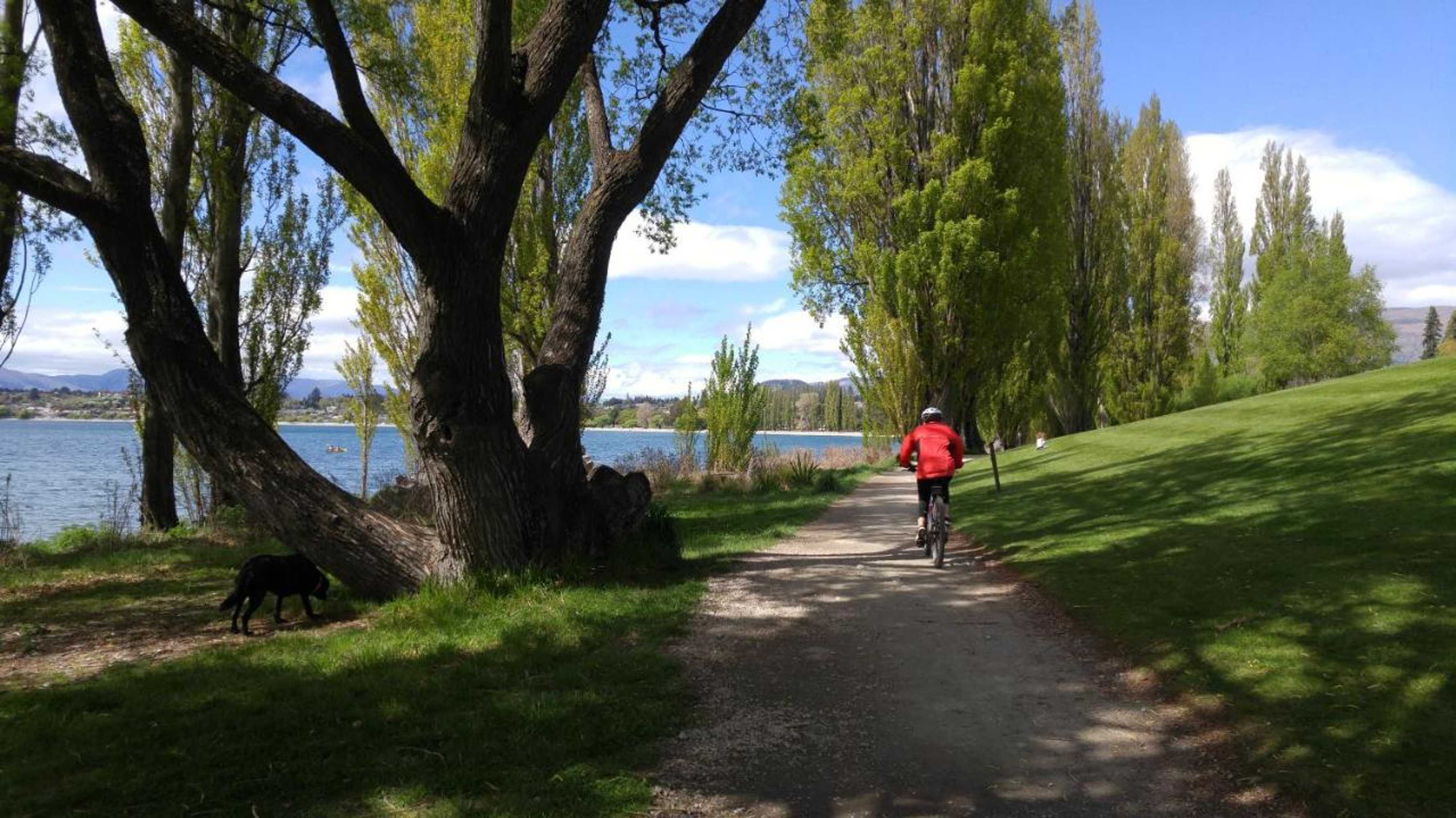 Gift card for Zula Lodge And Backpackers