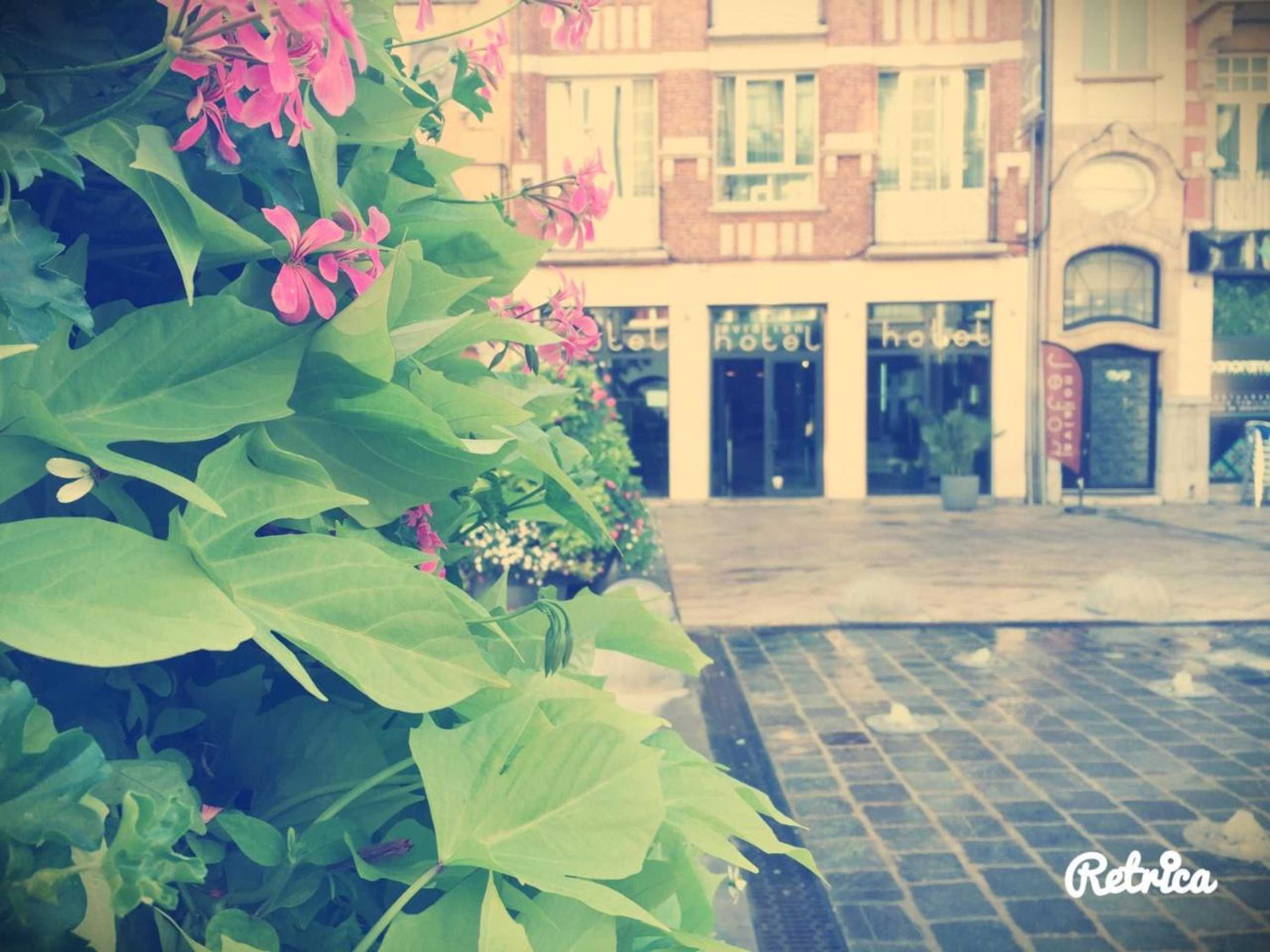 Gift card for Hotel Aviation