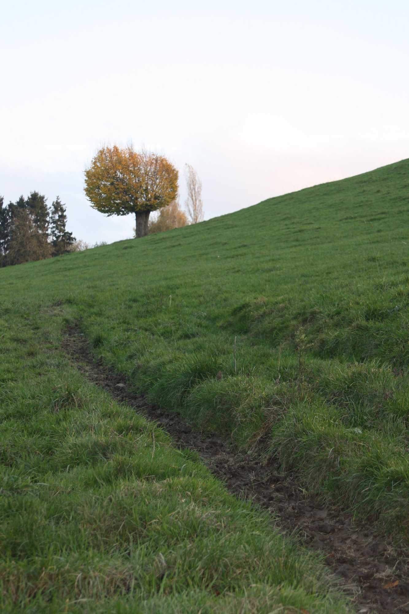 Gift card for Ô Macra