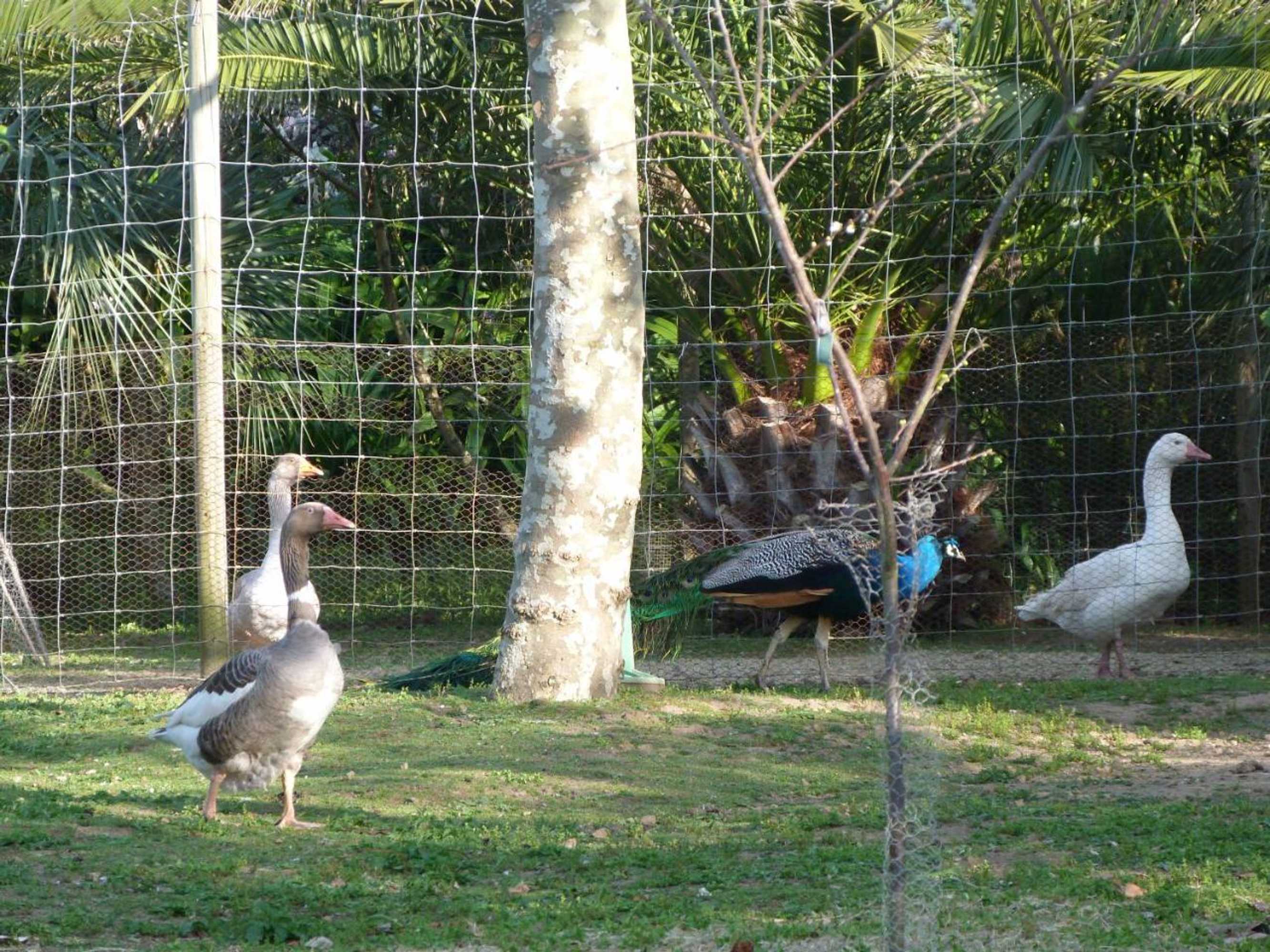 Gift card for Atlantico Apartments