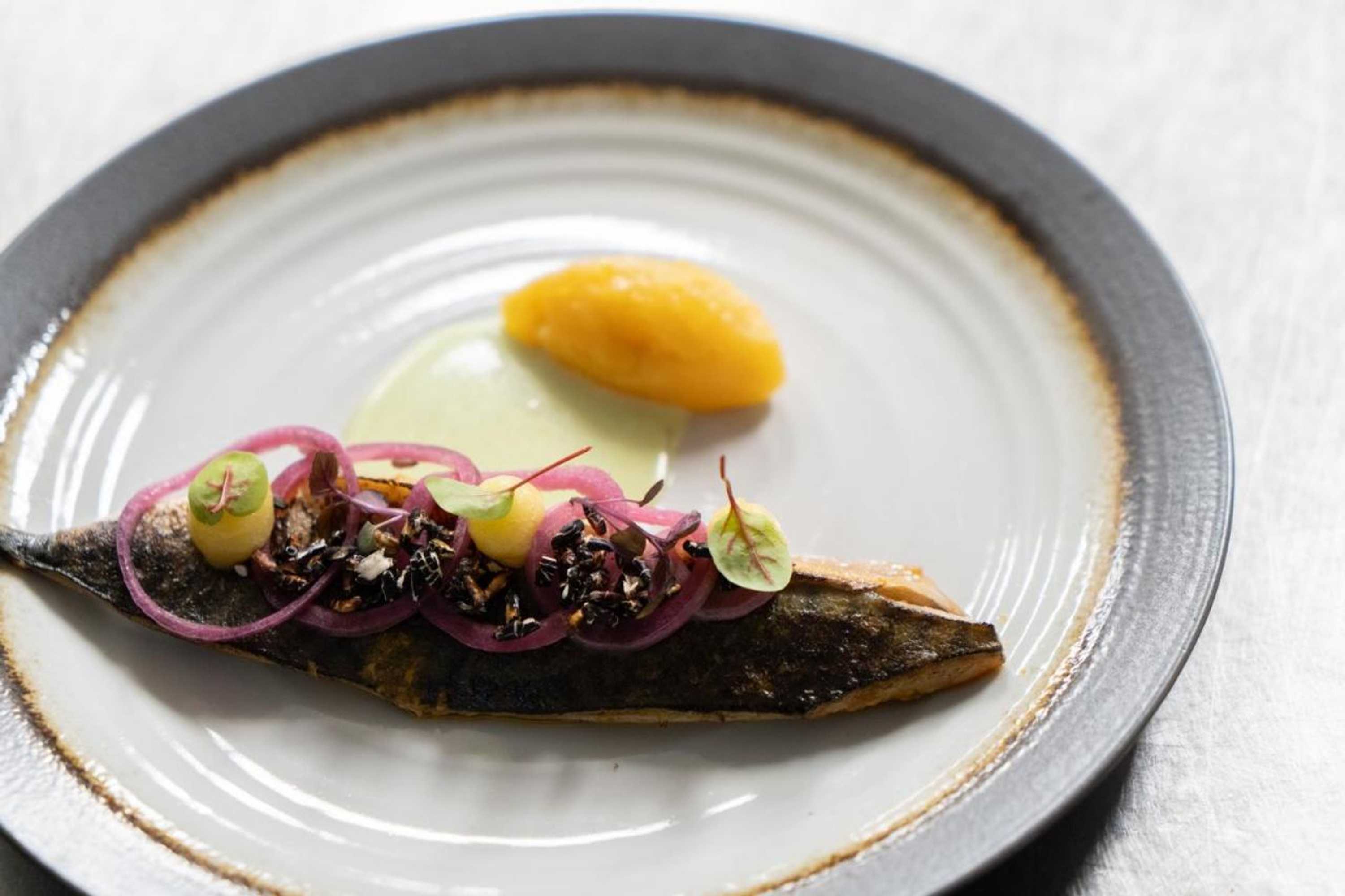 Gift card for Kruller - Hotel B&b