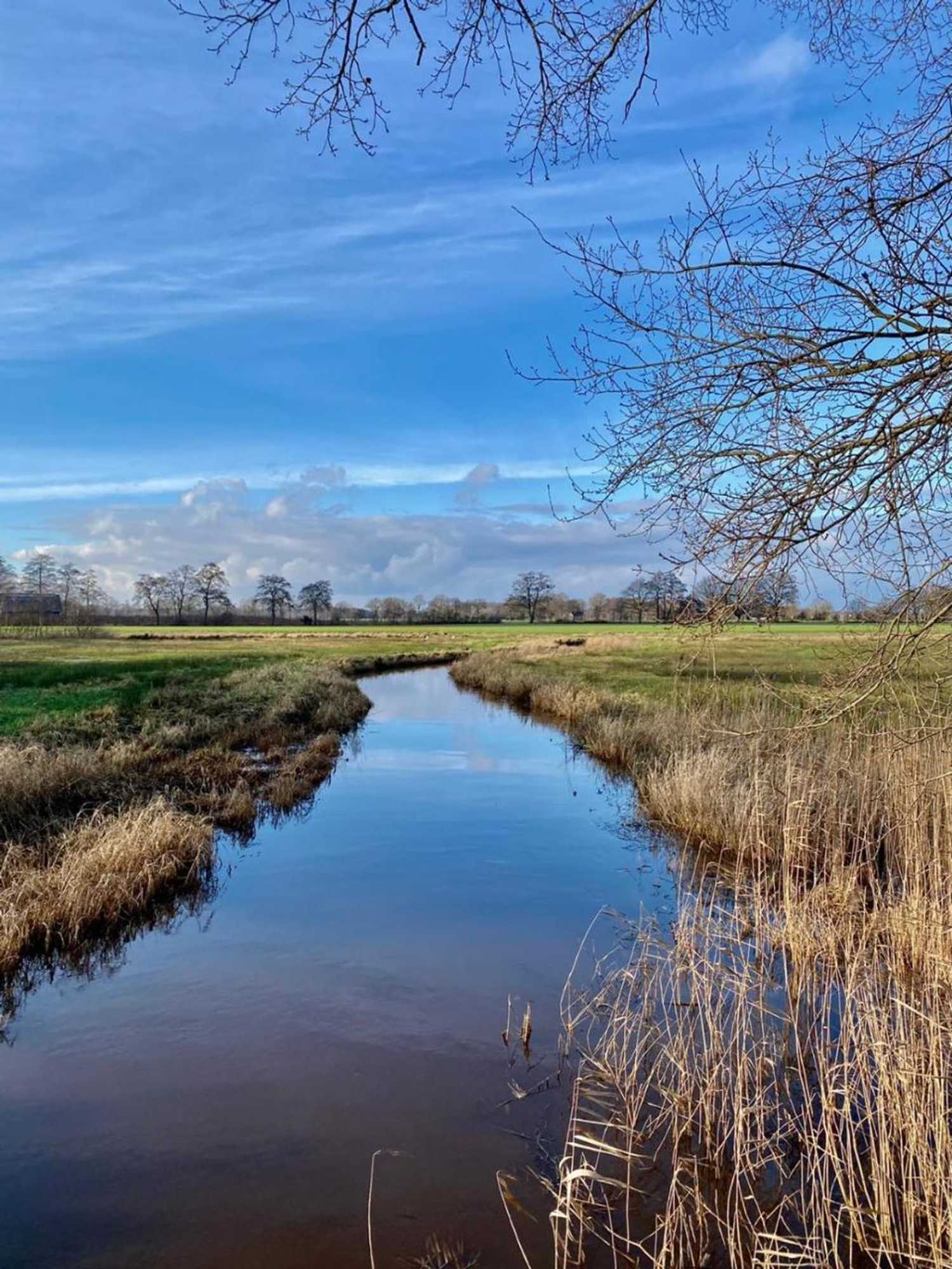 Gift card for Cottage Hazenhorst - Paradijs Aan Het Bos