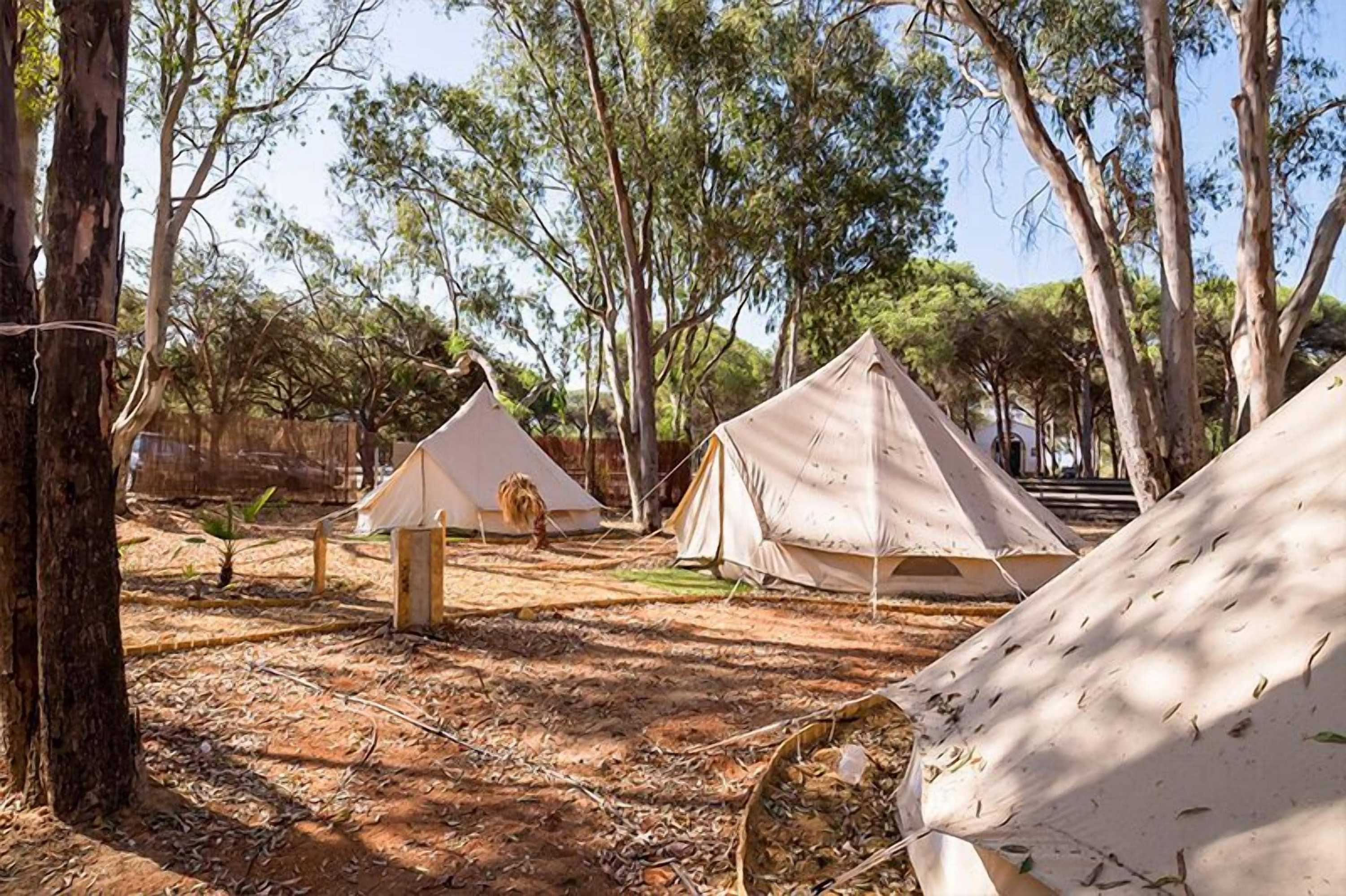 Gift card for Camping Playa Taray Gift card for Camping Playa Taray