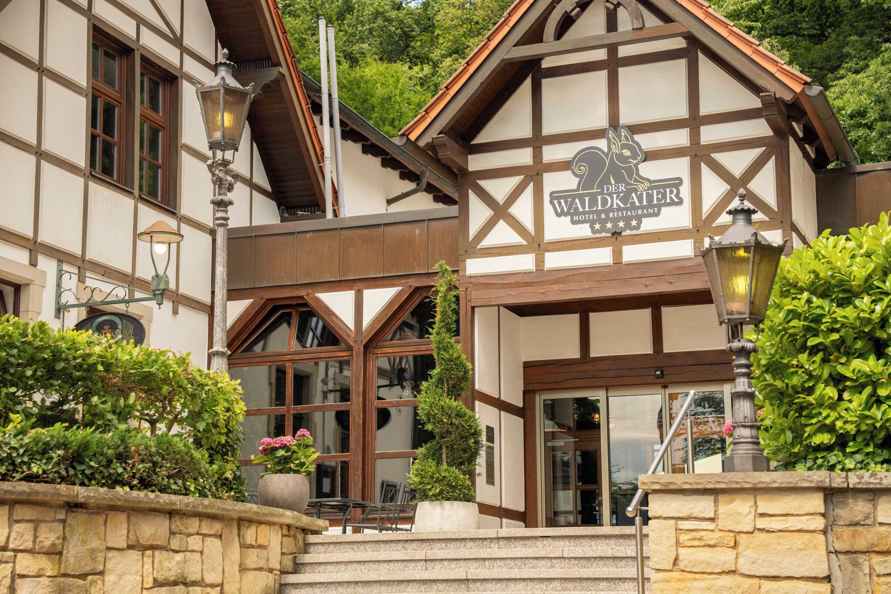 Gift card for Ringhotel Der Waldkater