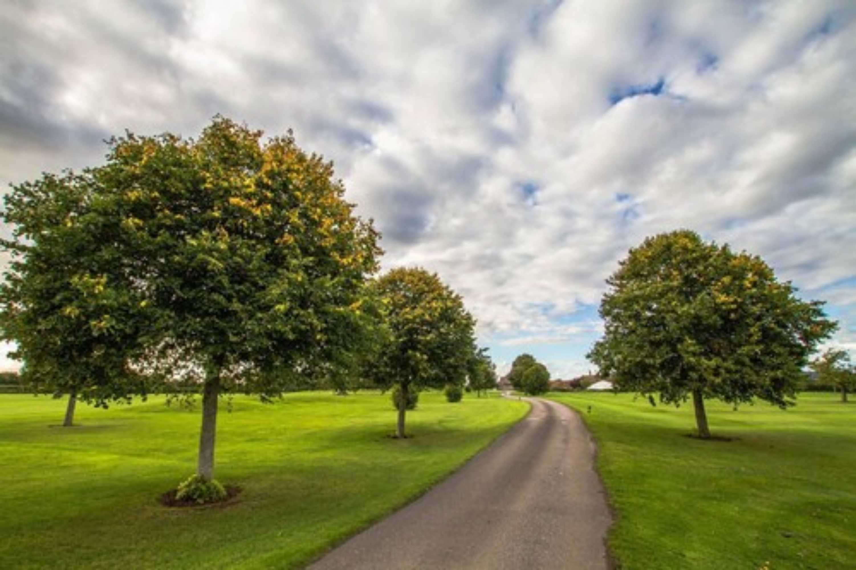 Gift card for Mendip Spring Golf Club Gift card for Mendip Spring Golf Club