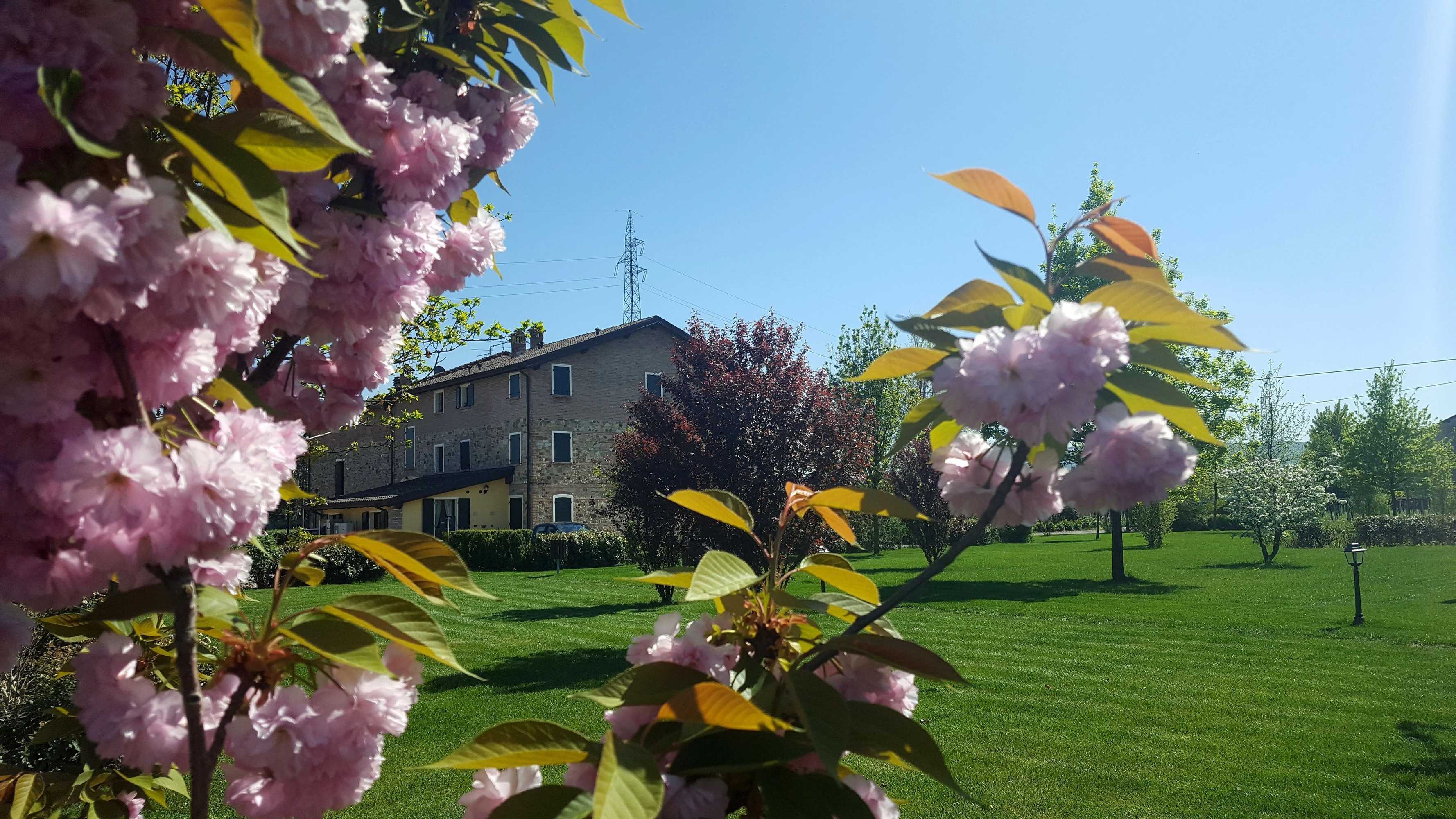 Gift card for Agriturismo Il Brugnolo