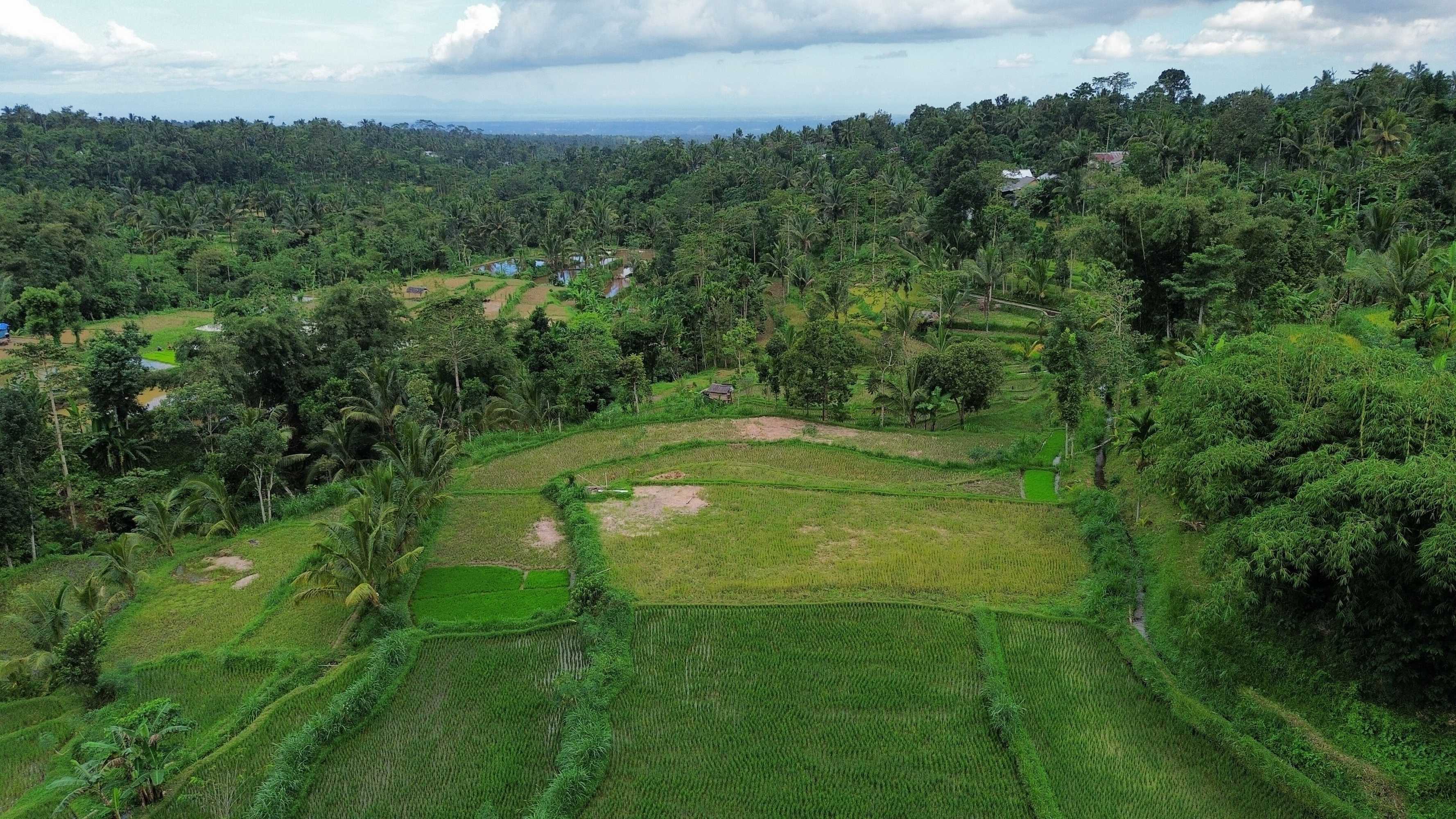 Gift card for Serenity Lodge Tetebatu Lombok