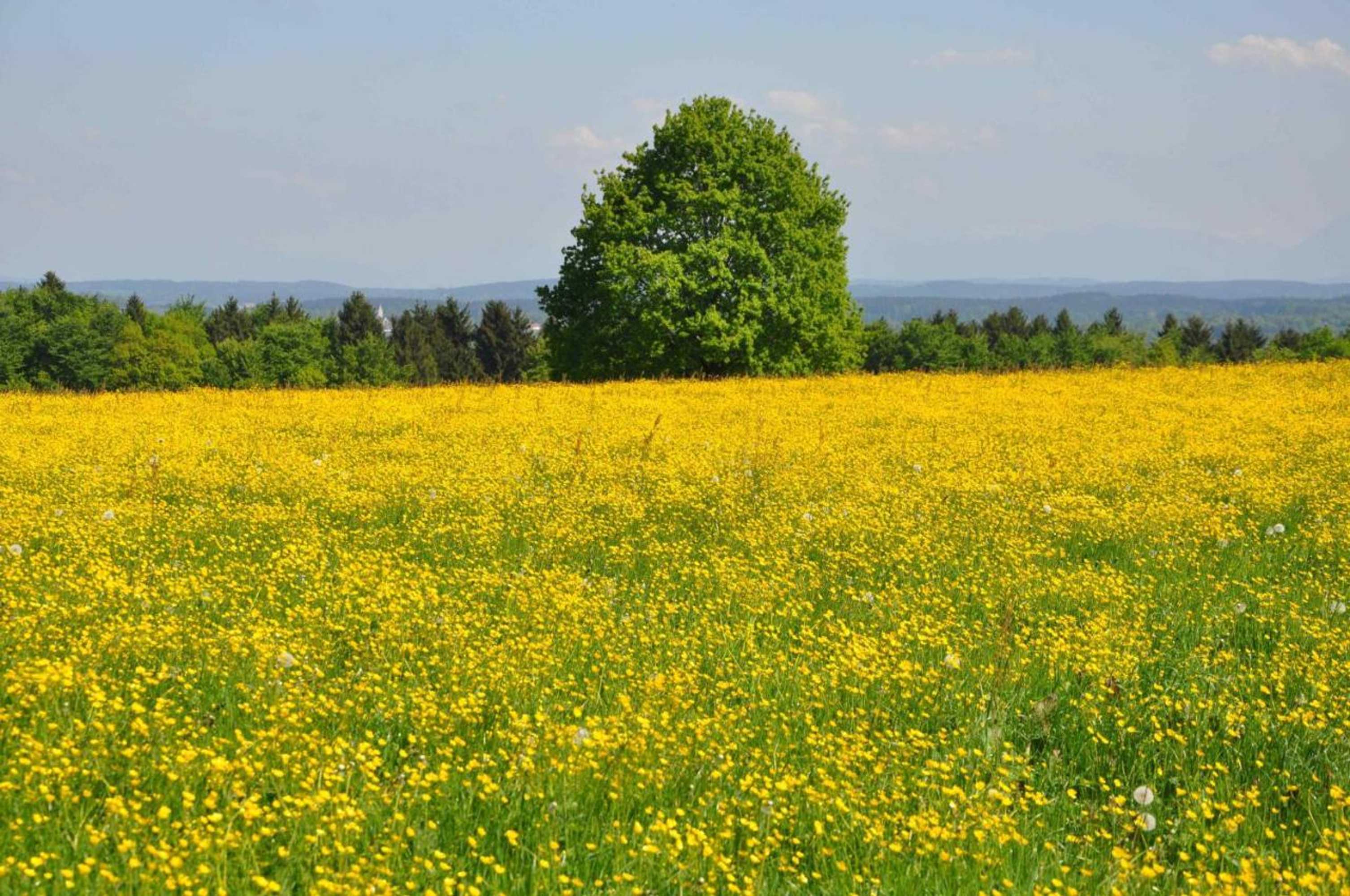 Gift card for Bed And Breakfast Bavaria München