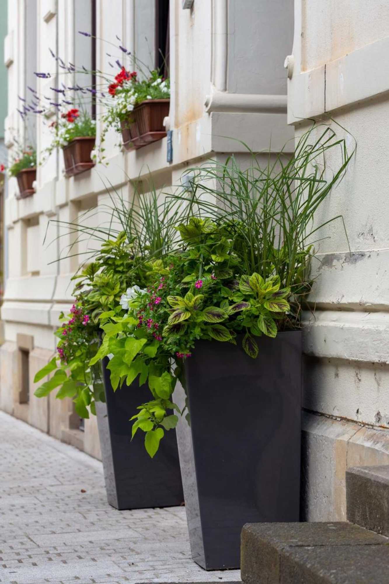 Gift card for Mauritius im Sachsenland