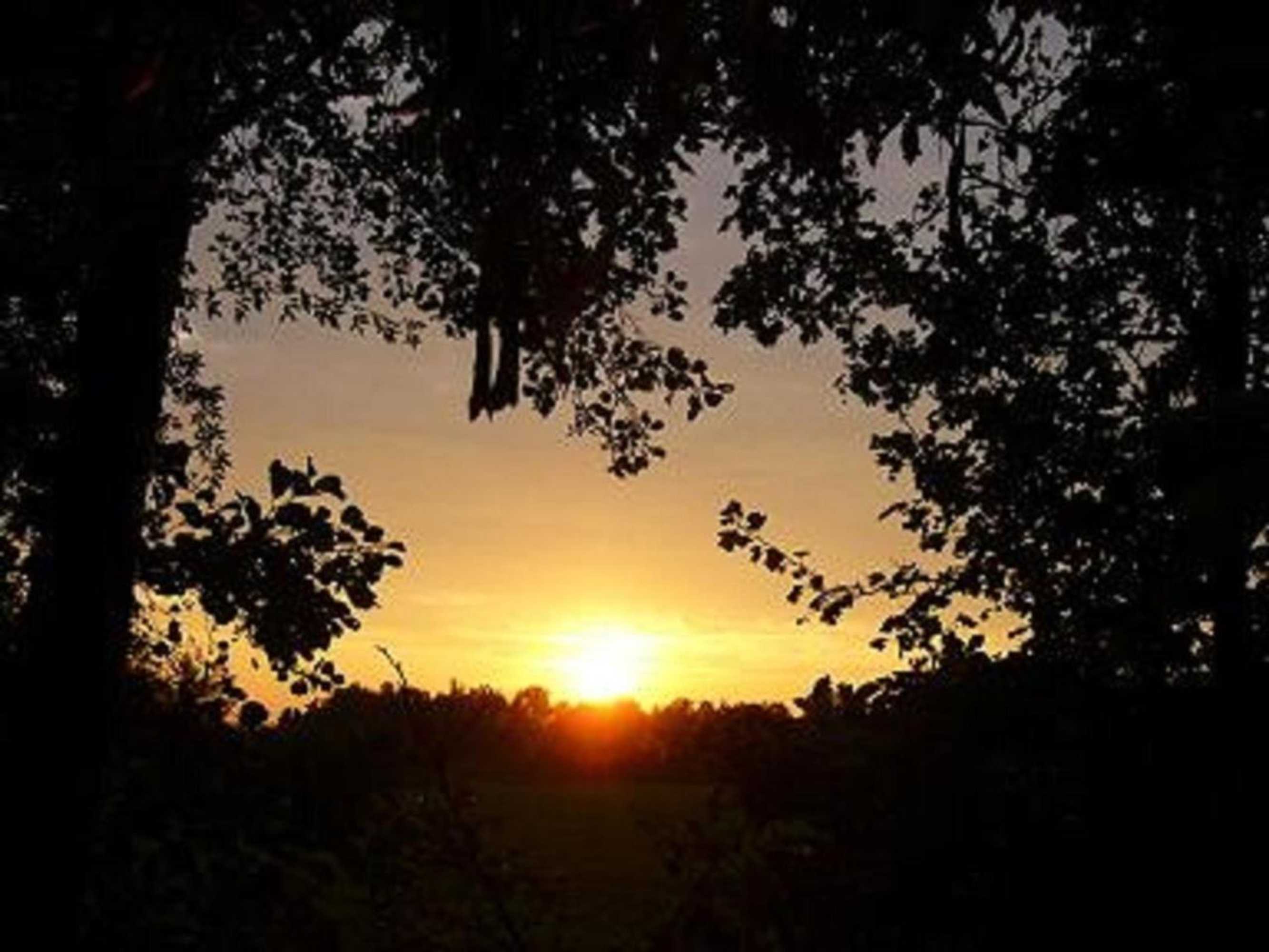 Gift card for De Vuurplaats