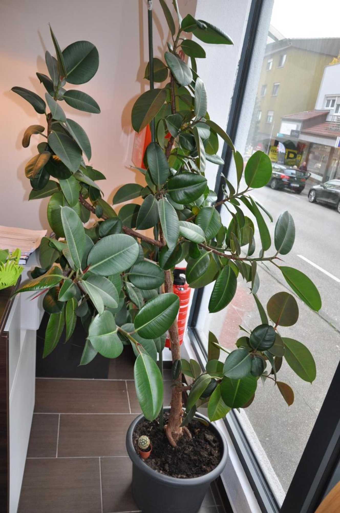 Gift card for A&c Hotel